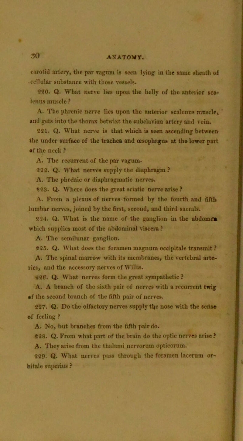 .•^0 rnrotid artery, the par rag-urn is seen lying in the sauw sheath of cellular substance with those vessels. 220. Q. What nerve lies upon the belly of the anterior sca- lenus muscle ? A. The phrenic nerve lies upon the anterior scalenus muscle, * and gets into the thorax betwixt the subclavian artery and vein. 221. Q. What nerve is that which is seen ascending between the under surface of the trachea and oesophagus at the lower part •f the neck ? A. The recurrent of the par vagum. 222. Q. What nerves supply the diaphragm ? A. The phrdnic or diaphragmatic nerves. 223. Q. Where docs the great sciatic nerve arise.’ A. From a plexus of nerves formed by the fourth and fifth lumbar nerves, joined by the first, second, and third sacrals. 224. Q. What is the name of the ganglion in the abdomn which supplies most of the abdominal viscera ? A. The semilunar ganglion. 225. Q. What does the foramen magnum occipitale transmit ? A. The spinal maiTOw with its mcnebranes, the vertebral aite- rics, and the accessory nerves of Willis. 226. Q. What nerves form the great sympathetic ? A. A branch of the sixth pair of nerves with a recurrent twig •f the second branch of the fifth pair of nerves. 227. Q. Do the olfactory nen-es supply the nose with the sense of feeling .* A. No, but branches from the fifth pair do. 228. Q. From what part of the brain do the optic neiTes arise ? A. They arise from the thalami nervorum opticorum. 229. Q. What nerves pass through the foramen lacerum or- bitale superius ?