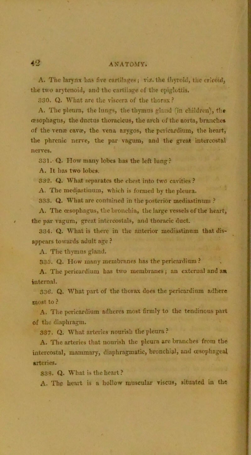 A. The larj-nx has five cartilages j rl*. the fhjTouJ, the trirnid, the two arjiicnohl, ami the cartilaste of the epiglottis. 330. Q. What arc tlie viscera of tlic thorax ? A. The pleura, the lungs, the thymus gh'-.-.u! (in children}, the opsophagtis, the ductus tlioracicus, the areh of the aorta, branches of the venoe cnvjc, the vena azygos, the pericardium, the heait, the phrenic neire, the par vagum, and the great intercostal nerves. 331. - Q. How many lobes has the left lung? A. It has two lobes. 333. Q. What .separates the chest into two cavities ? A. The mediastinum, which is formed by the pleura. 333. Q. What are contained in the posterior mediastinum ? A. The oesophagus, the bronchia, the large vessels of the heart, the par vagum, great intercostals, and thoracic duct. 334. Q. What is there in the anterior mediastinum that dis- appears towards adult age ? A. The thjTuns gland. 335. Q. How many membranes has the pericardium ? A. The pericardium has two membranes; an external and a* internal. 336. Q. What part of the thorax does the pericardium adhere most to ? A. Tlie pericardium adheres most firmly to the tendinous part of the diaphragm. 337. Q. What arteries nourish the pleura? A. The arteries that nourish tlie pleura are branches from the intercostal, mammary, diaphragmatic, bronchial, and ecsophngeal arteries. 838. Q. What is the heart? A. The heart is a hollow muscular riscus, situated in the