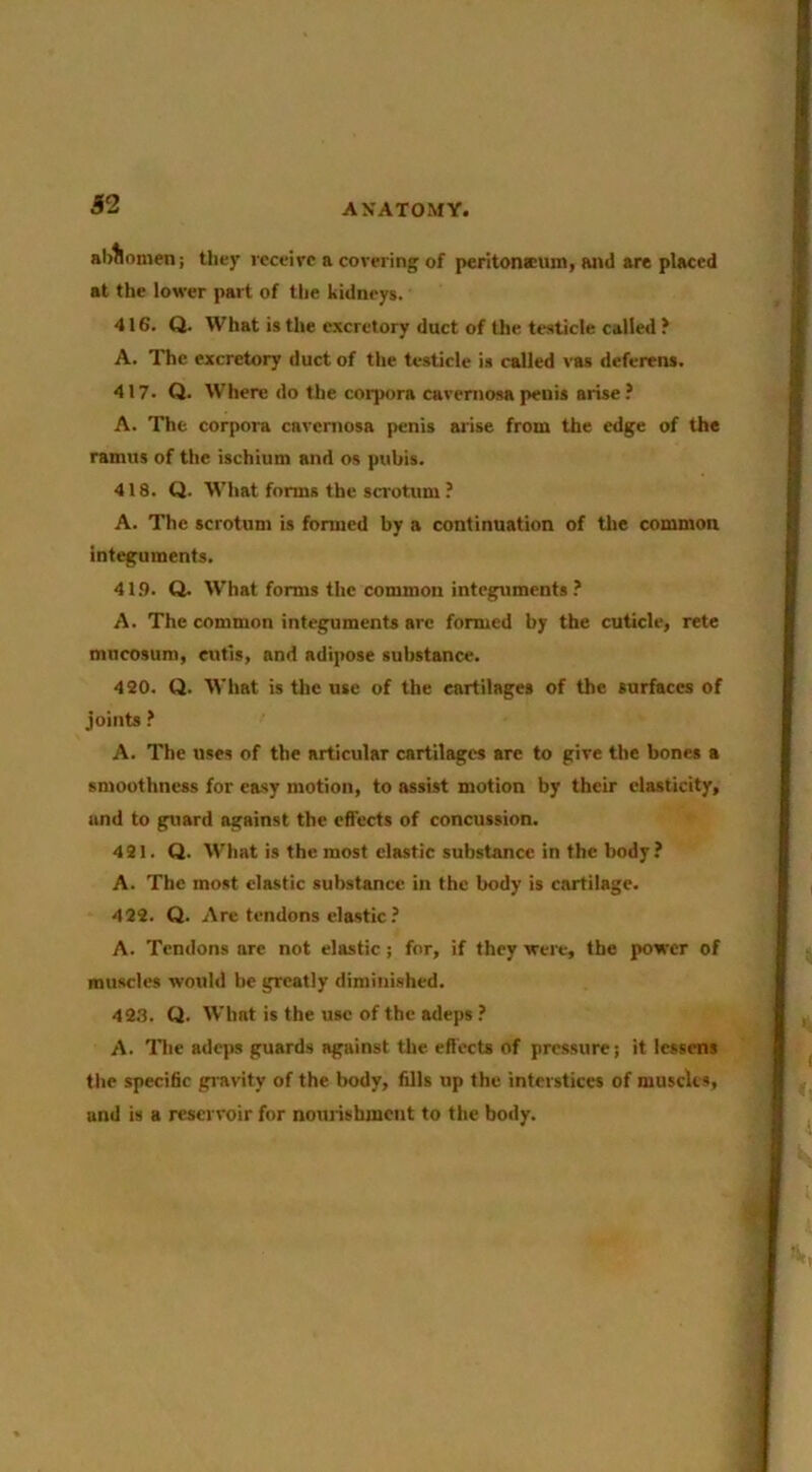 S2 abllomen; tliey rcceirc a covering of peritoneum, and are placed at the lower part of the kidneys. 416. Q. What is the excretory duct of the testicle called ? A. The excretory duct of the testicle is called vas deferens. 417. Q. Where do the corpora cavernosa penis arise? A. The corpora cavernosa penis arise from the edge of the ramus of tlie ischium and os pubis. 418. Q. What forms the scrotum ? A. The scrotum is formed by a continuation of the common integuments. 419. Q. What forms the common integuments ? A. The common integuments are formed by the cuticle, rete mneosum, cutis, and adipose substance. 420. Q. What is the use of the cartilages of the surfaces of joints ? A. The uses of the articular cartilages are to give the bones a smoothness for easy motion, to assist motion by their elasticity, and to guard against the effects of concussion. 421. Q. What is the most clastic substance in the body? A. The most clastic substance in the body is cartilage. 422. Q. Are tendons elastic ? A. Tendons arc not elastic; for, if they were, the power of muscles would be greatly diminished. 423. Q. What is the use of the adeps ? A. lire adeps guards against the eft'ects of pressure! it lessens the specific gravity of the body, fills up the interstices of muscles, and is a reservoir for nourishment to the body.