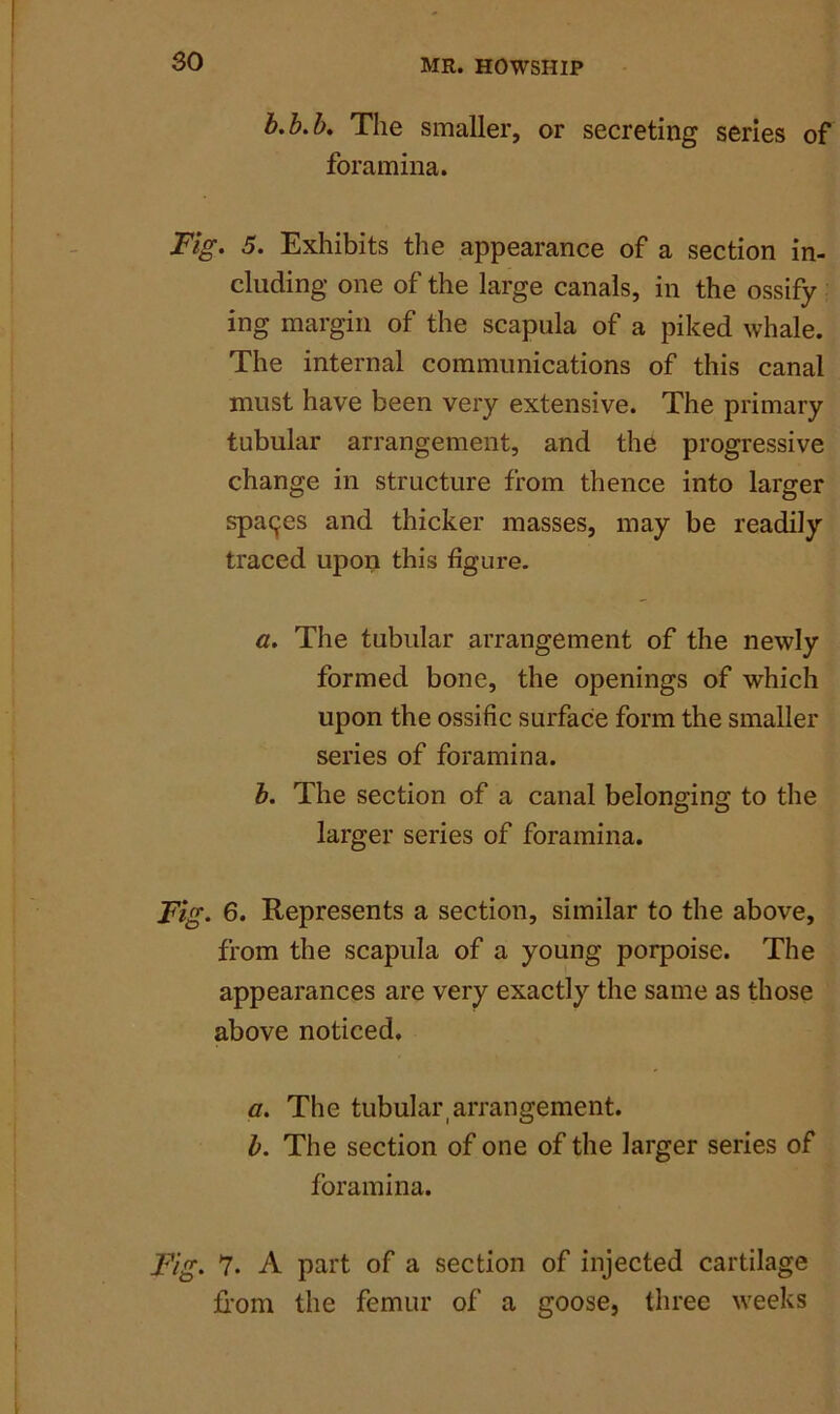 b.b.b. The smaller, or secreting series of foramina. Fig. 5. Exhibits the appearance of a section in- cluding one of the large canals, in the ossify ing margin of the scapula of a piked whale. The internal communications of this canal must have been very extensive. The primary tubular arrangement, and the progressive change in structure from thence into larger spaces and thicker masses, may be readily traced upon this figure. a. The tubular arrangement of the newly formed bone, the openings of which upon the ossific surface form the smaller series of foramina. b. The section of a canal belonging to the larger series of foramina. Fig. 6. Represents a section, similar to the above, from the scapula of a young porpoise. The appearances are very exactly the same as those above noticed. a. The tubular arrangement. b. The section of one of the larger series of foramina. Fig. 7. A part of a section of injected cartilage from the femur of a goose, three weeks