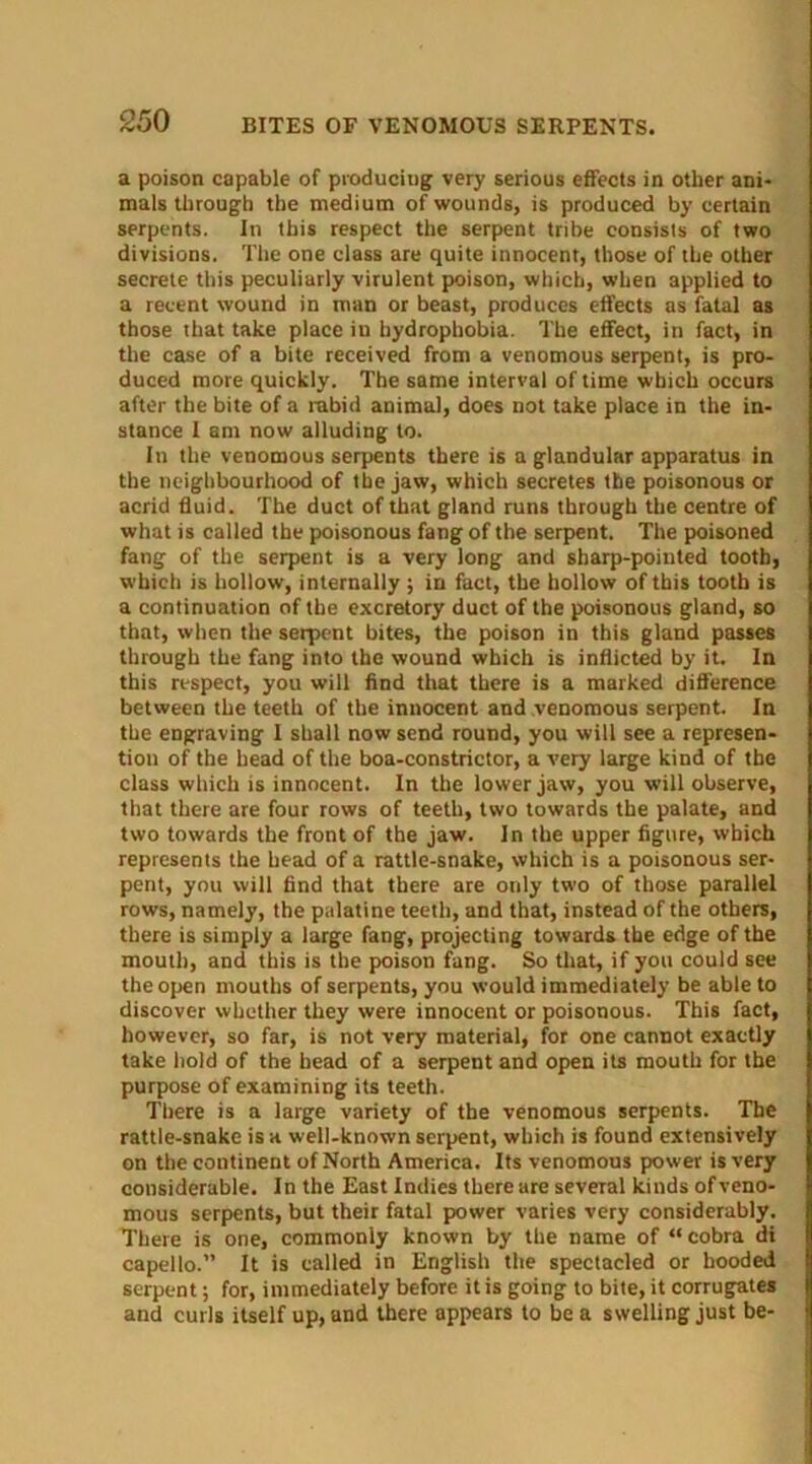 a poison capable of producing very serious effects in other ani- mals through the medium of wounds, is produced by certain serpents. In this respect the serpent tribe consists of two divisions. The one class are quite innocent, those of the other secrete this peculiarly virulent poison, which, when applied to a recent wound in man or beast, produces effects as fatal as those that take place in hydrophobia. The effect, in fact, in the case of a bite received from a venomous serpent, is pro- duced more quickly. The same interval of time which occurs after the bite of a rabid animal, does not take place in the in- stance I am now alluding to. In the venomous serpents there is a glandular apparatus in the neighbourhood of the jaw, which secretes the poisonous or acrid fluid. The duct of that gland runs through the centre of what is called the poisonous fang of the serpent. The poisoned fang of the serpent is a very long and sharp-pointed tooth, which is hollow, internally ; in fact, the hollow of this tooth is a continuation of the excretory duct of the poisonous gland, so that, when the serpent bites, the poison in this gland passes through the fang into the wound which is inflicted by it. In this respect, you will find that there is a marked difference between the teeth of the innocent and venomous serpent. In the engraving I shall now send round, you will see a represen- tion of the head of the boa-constrictor, a very large kind of the class which is innocent. In the lower jaw, you will observe, that there are four rows of teeth, two towards the palate, and two towards the front of the jaw. In the upper figure, which represents the head of a rattle-snake, which is a poisonous ser- pent, you will find that there are only two of those parallel rows, namely, the palatine teeth, and that, instead of the others, there is simply a large fang, projecting towards the edge of the mouth, and this is the poison fang. So that, if you could see the open mouths of serpents, you would immediately be able to discover whether they were innocent or poisonous. This fact, however, so far, is not very material, for one cannot exactly take hold of the head of a serpent and open its mouth for the purpose of examining its teeth. There is a large variety of the venomous serpents. The rattle-snake is a well-known serpent, which is found extensively on the continent of North America. Its venomous power is very considerable. In the East Indies there are several kinds ofveno- mous serpents, but their fatal power varies very considerably. There is one, commonly known by the name of “ cobra di capello.” It is called in English the spectacled or hooded serpent; for, immediately before it is going to bite, it corrugates and curls itself up, and there appears to be a swelling just be-