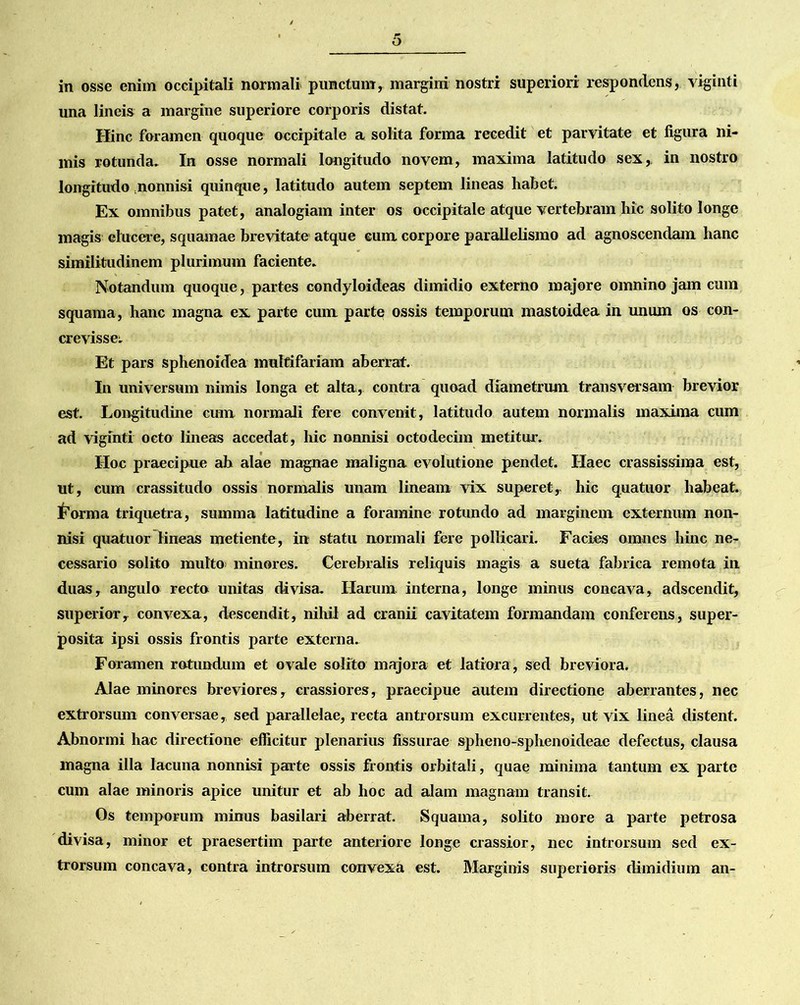 una lineis a margine superiore corporis distat. Hinc foramen quoque occipitale a solita forma recedit et parvitate et figura ni- mis rotunda. In osse normali longitudo novem, maxima latitudo sex, in nostro longitudo nonnisi quinque, latitudo autem septem lineas habet. Ex omnibus patet, analogiam inter os occipitale atque vertebram hic solito longe magis ©lucere, squamae brevitate atque eum corpore parallelismo ad agnoscendam hanc similitudinem plurimum faciente. Notandum quoque, partes condyloideas dimidio externo majore omnino jam cum squama, hanc magna ex parte cum parte ossis temporum mastoidea in unum os con- crevisse. Et pars sphenoidea multifariam aberrat. In universum nimis longa et alta, contra quoad diametrum transversam brevior est. Longitudine cum normali fere convenit, latitudo autem normalis maxima cum ad viginti octo lineas accedat, hic nonnisi octodecim metitur. IIoc praecipue ab alae magnae maligna evolutione pendet. Haec crassissima est, ut, cum crassitudo ossis normalis unam lineam vix superet, hic quatuor habeat. Forma triquetra, summa latitudine a foramine rotundo ad marginem externum non- nisi quatuor lineas metiente, in statu normali fere pollicari. Facies omnes hinc ne- cessario solito multo minores. Cerebralis reliquis magis a sueta fabrica remota in duas, angulo recto unitas divisa. Ilarum interna, longe minus concava, adseendit, superior, convexa, descendit, nihil ad cranii cavitatem formandam conferens, super- posita ipsi ossis frontis parte externa. Foramen rotundum et ovale solito majora et latiora, sed breviora. Alae minores breviores, crassiores, praecipue autem directione aberrantes, nec extrorsum conversae, sed parallelae, recta antrorsum excurrentes, ut vix linea distent. Abnormi hac directione efficitur plenarius fissurae spheno-sphenoideae defectus, clausa magna illa lacuna nonnisi parte ossis frontis orbitali, quae minima tantum ex parte cum alae minoris apice unitur et ab hoc ad alam magnam transit. Os temporum minus basilari aberrat. Squama, solito more a parte petrosa divisa, minor et praesertim parte anteriore longe crassior, nec introrsum sed ex- trorsum concava, contra introrsum convexa est. Marginis superioris dimidium an-