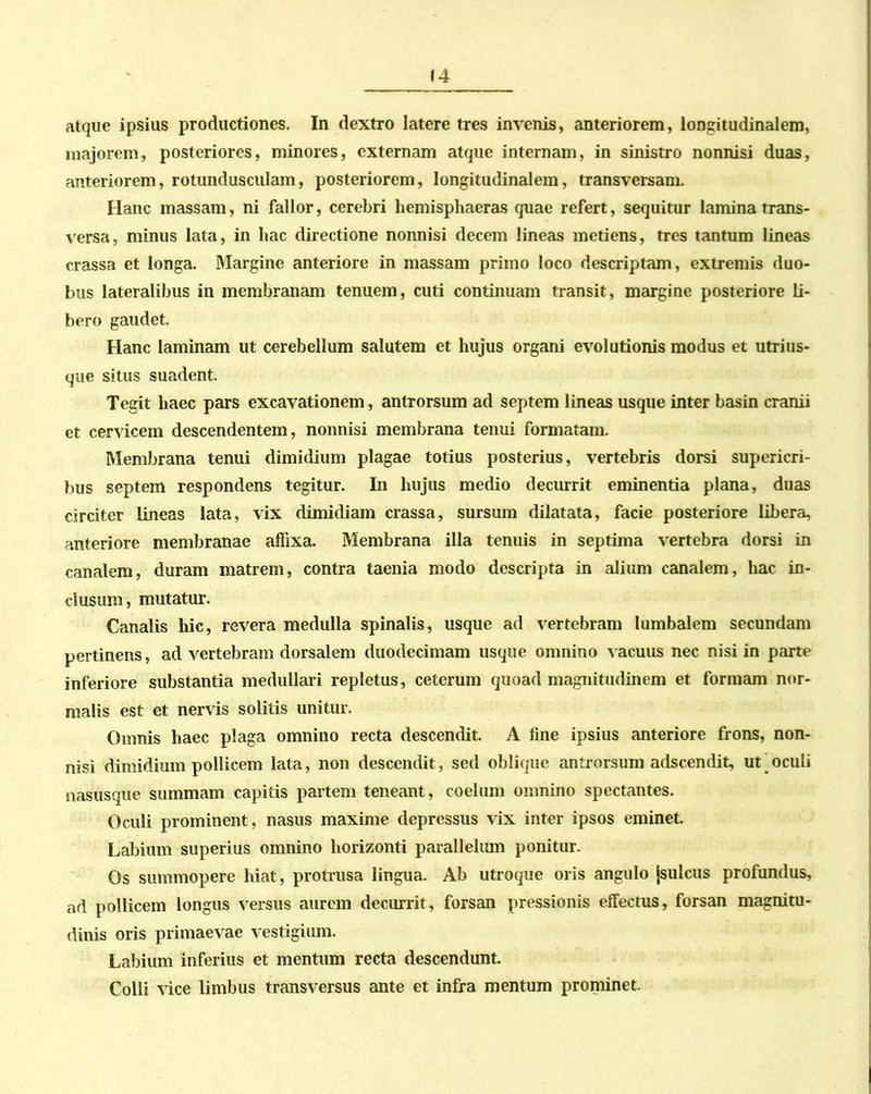 atque ipsius productiones. In dextro latere tres invenis, anteriorem, longitudinalem, majorem, posteriores, minores, externam atque internam, in sinistro nonnisi duas, anteriorem, rotundusculam, posteriorem, longitudinalem, transversam. Ilanc massam, ni fallor, cerebri hemisphaeras quae refert, sequitur lamina trans- versa, minus lata, in hac directione nonnisi decem lineas metiens, tres tantum lineas crassa et longa. Margine anteriore in massam primo loco descriptam, extremis duo- bus lateralibus in membranam tenuem, cuti continuam transit, margine posteriore li- bero gaudet. Hanc laminam ut cerebellum salutem et hujus organi evolutionis modus et utrius- que situs suadent. Tegit haec pars excavationem, antrorsum ad septem lineas usque inter basin cranii et cervicem descendentem, nonnisi membrana tenui formatam. Membrana tenui dimidium plagae totius posterius, vertebris dorsi supericri- bus septem respondens tegitur. In hujus medio decurrit eminentia plana, duas circiter lineas lata, vix dimidiam crassa, sursum dilatata, facie posteriore libera, anteriore membranae affixa. Membrana illa tenuis in septima vertebra dorsi in canalem, duram matrem, contra taenia modo descripta in alium canalem, hac in- clusum, mutatur. Canalis hic, revera medulla spinalis, usque ad vertebram lumbalem secundam pertinens, ad vertebram dorsalem duodecimam usque omnino vacuus nec nisi in parte inferiore substantia medullari repletus, ceterum quoad magnitudinem et formam nor- malis est et nervis solitis unitur. Omnis haec plaga omnino recta descendit. A line ipsius anteriore frons, non- nisi dimidium pollicem lata, non descendit, sed oblique antrorsum adseendit, ut oculi nasusque summam capitis partem teneant, coelum omnino spectantes. Oculi prominent, nasus maxime depressus vix inter ipsos eminet. Labium superius omnino horizonti parallelum ponitur. Os summopere hiat, protrusa lingua. Ab utroque oris angulo jsulcus profundus, ad pollicem longus versus aurem decurrit, forsan pressionis effectus, forsan magnitu- dinis oris primaevae vestigium. Labium inferius et mentum recta descendunt. Colli vice limbus transversus ante et infra mentum prominet.