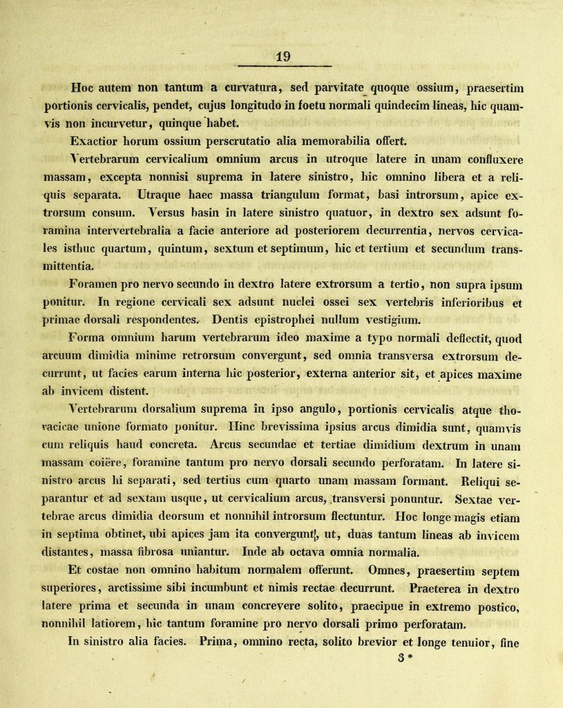 IIoc autem non tantum a curvatura, sed parvitate quoque ossium, praesertim portionis cervicalis, pendet, cujus longitudo in foetu normali quindecim lineas, hic quam- vis non incurvetur, quinque habet. Exactior horum ossiiun perscrutatio alia memorabilia offert. Vertebrarum cervicalium omnium arcus in utroque latere in unam confluxere massam, excepta nonnisi suprema in latere sinistro, hic omnino libera et a reli- quis separata. Utraque haec massa triangulum format, basi introrsum, apice ex- trorsum consum. Versus basin in latere sinistro quatuor, in dextro sex adsunt fo- ramina intervertebralia a facie anteriore ad posteriorem decurrentia, nervos cervica- les isthuc quartum, quintum, sextum et septimum, hic et tertium et secundum trans- mittentia. Foramen pro nervo secundo in dextro latere extrorsum a tertio, non supra ipsum ponitur. In regione cervicali sex adsunt nuclei ossei sex vertebris inferioribus et primae dorsali respondentes. Dentis epistrophei nullum vestigium. Forma omnium harum vertebrarum ideo maxime a typo normali deflectit, quod arcuum dimidia minime retrorsum convergunt, sed omnia transversa extrorsum de- currunt, ut facies earum interna hic posterior, externa anterior sit, et apices maxime ab invicem distent. Vertebrarum dorsalium suprema in ipso angulo, portionis cervicalis atque tho- racicae unione formato ponitur. Hinc brevissima ipsius arcus dimidia sunt, quamvis cum reliquis haud concreta. Arcus secundae et tertiae dimidium dextrum in unam massam coiere, foramine tantum pro nervo dorsali secundo perforatam. In latere si- nistro arcus hi separati, sed tertius cum quarto unam massam formant. Reliqui se- parantur et ad sextam usque, ut cervicalium arcus, transversi ponuntur. Sextae ver- tebrae arcus dimidia deorsum et nonnihil introrsum flectuntur. Hoc longe magis etiam in septima obtinet, ubi apices jam ita convergunt’, ut, duas tantum lineas ab invicem distantes, massa fibrosa nniantur. Inde ab octava omnia normalia. Et costae non omnino habitum normalem offerunt. Omnes, praesertim septem superiores, arctissime sibi incumbunt et nimis rectae decurrunt. Praeterea in dextro latere prima et secunda in unam concrevere solito, praecipue in extremo postico, nonnihil latiorem, hic tantum foramine pro nervo dorsali primo perforatam. In sinistro alia facies. Prima, omnino recta, solito brevior et longe tenuior, fine 3*
