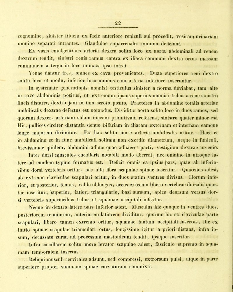 cognomine, sinister itidem cx facie anteriore rcniculi sui procedit, vesicam urinariam omnino separati intrantes. Glandulae suparrenales omnino deficiunt. Ex vasis emulgentibus arteria dextra solito loco ex aorta abdominali ad renem dextrum tendit, sinistri renis ramus contra ex iliaca communi dextra ortus massam communem a tergo in loco unionis ipso intrat. Venae dantur tres, omnes ex cava provenientes. Duae superiores reni dextro solito loco et modo, inferior loco unionis cum arteria interiore inseruntur. Iu systemate generationis nonnisi testiculus sinister a norma deviabat, tam alte in cavo abdominis positus , ut extremum ipsius superius nonnisi tribus a rene sinistro lineis distaret, dextro jam in imo scroto posito. Praeterea in abdomine totalis arteriae umbilicalis dextrae defectus est notandus. Dividitur aorta solito loco in duos ramos, sed quorum dexter, arteriam solam iliacam primitivam referens, sinistro quater minor est Ilie, pollices circiter distantia denuo bifariam in iliacam externam et internam eamque longe majorem dirimitur. Ex hac solito more arteria umbilicalis oritur. Ilaec et in abdomine et in fune umbilicali solitam non excedit diametrum, neque in funiculi, brevissimae quidem, abdomini adhuc quae adhaeret parti, vestigium dextrae invenio. Inter dorsi musculos cucullaris notabili modo aberrat, nec omnino in utroque la- tere ad eundem typum formatus est. Deficit omnis ea ipsius pars, quae ab inferio- ribus dorsi vertebris oritur, nec ulla fibra scapulae spinae inseritur. Quatenus adest, ab extremo claviculae scapulari oritur, in duos statim ventres divisus. Ilorum infe- rior, et posterior, tenuis, valde oblongus, arcus extremo libero vertebrae dorsalis quar- tae inseritur, 'superior, latior, triangularis, basi sursum, apice deorsum versus dor- si vertebris superioribus tribus et squamae occipitali infigitur. Neque in dextro latere pars inferior adest. Musculus hic quoque in ventres duos, posteriorem tenuiorem, anteriorem latiorem dividitur, quorum liic ex claviculae parte scapulari, libero tamen extremo oritur, squamae tantum occipitali insertus, ille ex initio spinae scapulae triangulari ortus, longissime igitur a priori distans, infra ip- sum, decussato cursu ad processum mastoideum tendit, ipsique inseritur. Infra cucullarcm solito more levator scapulae adest, fasciculo supremo in squa- mam temporalem insertus. lleliqui musculi cervicales adsunt, sed compressi, extrorsum pulsi, atque in parte superiore propter summam spinae curvaturam commixti.