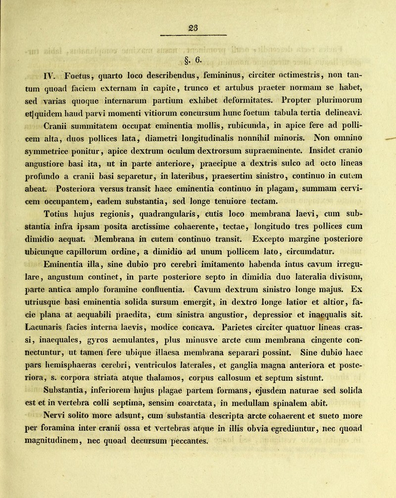 §. 6. IV. Foetus, quarto loco describendus, femininus, circiter octimestris, non tan- tum quoad faciem externam in capite, trunco et artubus praeter normam se habet, sed varias quoque internarum partium exhibet deformitates. Propter plurimorum etj quidem haud parvi momenti vitiorum concursum hunc foetum tabula tertia delineavi. Cranii summitatem occupat eminentia mollis, rubicunda, in apice fere ad polli- cem alta, duos pollices lata, diametri longitudinalis nonnihil minoris. Non omnino symmetrice ponitur, apice dextrum oculum dextrorsum supraeminente. Insidet cranio angustiore basi ita, ut in parte anteriore, praecipue a dextris sulco ad octo lineas profundo a cranii basi separetur, in lateribus, praesertim sinistro, continuo in cutem abeat. Posteriora versus transit haec eminentia continuo in plagam, summam cervi- cem occupantem, eadem substantia, sed longe tenuiore tectam. Totius hujus regionis, quadrangularis, cutis loco membrana laevi, cum sub- stantia infra ipsam posita arctissime cohaerente, tectae, longitudo tres pollices cum dimidio aequat. Membrana in cutem continuo transit. Excepto margine posteriore ubicunque capillorum ordine, a dimidio ad unum pollicem lato, circumdatur. Eminentia illa, sine dubio pro cerebri imitamento habenda intus cavum irregu- lare, angustum continet, in parte posteriore septo in dimidia duo lateralia divisum, parte antica amplo foramine confluentia. Cavum dextrum sinistro longe majus. Ex utriusque basi eminentia solida sursum emergit, in dextro longe latior et altior, fa- cie plana at aequabili praedita, cum sinistra angustior, depressior et inaequalis sit. Lacunaris facies interna laevis, modice concava. Parietes circiter quatuor lineas cras- si, inaequales, gyros aemulantes, plus minusve arcte cum membrana cingente con- nectuntur, ut tamen fere ubique illaesa membrana separari possint. Sine dubio haec pars hemisphaeras cerebri, ventriculos laterales, et ganglia magna anteriora et poste- riora, s. corpora striata atque thalamos, corpus callosum et septum sistunt. Substantia, inferiorem hujus plagae partem formans, ejusdem naturae sed solida est et in vertebra colli septima, sensim coarctata, in medullam spinalem abit. Nervi solito more adsunt, cum substantia descripta arcte cohaerent et sueto more per foramina inter cranii ossa et vertebras atque in illis obvia egrediuntur, nec quoad magnitudinem, nec quoad decursum peccantes.