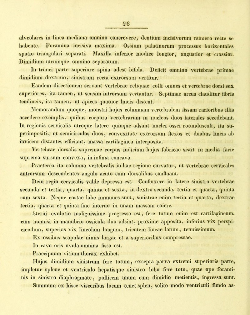 alveolares in linea mediana omnino concrevere, dentium incisivorum numero recte se habente. Foramina incisiva maxima. Ossium palatinorum processus horizontales spatio triangulari separati. Maxilla inferior modice longior, angustior et crassior. Dimidium utrumque omnino separatum. In trunci parte superiore spina adest bifida. Deficit omnino vertebrae primae dimidium dextrum, sinistrum recta extrorsum vertitur. Eandem directionem servant vertebrae reliquae colli omnes et vertebrae dorsi sex superiores, ita tamen, ut sensim introrsum vertantur. Septimae arcus clauditur fibris tendineis, ita tamen, ut apices quatuor lineis distent. Memorandum quoque, monstri hujus columnam vertebralem fissam rarioribus illis accedere exemplis, quibus corpora vertebrarum in nucleos duos laterales secedebant. In regionis cervicalis utroque latere quinque adsunt nuclei ossei rotundusculi, ita su- perimpositi, ut semicirculos duos, convexitate extrorsum flexos et duabus lineis ab invicem distantes efliciant, massa cartilaginea interposita. Vertebrae dorsalis supremae corpus indicium hujus fabricae sistit in media facie suprema sursum convexa, in infima concava. Praeterea ita columna vertebralis in hac regione curvatur, ut vertebrae cervicales antrorsum descendentes angulo acuto cum dorsalibus confluant. Dein regio cervicalis valde depressa est. Confluxere in latere sinistro vertebrae secunda et tertia, quarta, quinta et sexta, in dextro secunda, tertia et quarta, quinta cum sexta. Neque costae labe immunes sunt, sinistrae enim tertia et quarta, dextrae tertia, quarta et quinta fine interno in unam massam coiere. Sterni evolutio malignissime progressa est, fere totum enim est cartilagineum, cum nonnisi in manubrio ossicula duo adsint, proxime apposita, inferius vix perspi- ciendum, superius vix lineolam longum, trientem lineae latum, tenuissimum. Ex ossibus scapulae nimis largae et a superioribus compressae. In cavo oris uvula omnina fissa est. Praecipuum vitium thorax exhibet. Hujus dimidium sinistrum fere totum, excepta parva extremi superioris parte, impletur splene et ventriculo hepatisque sinistro lobo fere toto, quae ope forami- nis in sinistro diaphragmate, pollicem unum cum dimidio inetientis, ingressa sunt. Summum ex hisce visceribus locum tenet splen, solito modo ventriculi fundo as-