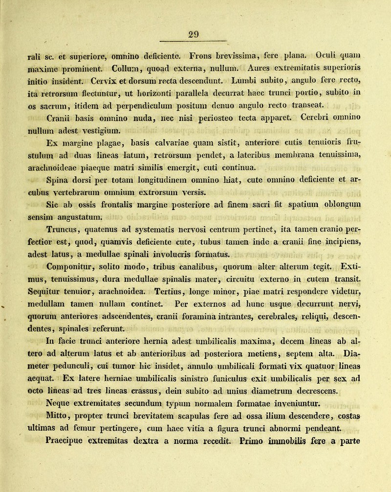 rali sc. et superiore, omnino deficiente. Frons brevissima, fere plana. Oculi quam maxime prominent. Collum, quoad externa, nullum. Aures extremitatis superioris initio insident. Cervix et dorsum recta descendunt. Lumbi subito, angulo fere recto, ita retrorsum flectuntur, ut horizonti parallela decurrat haec trunci portio, subito in os sacrum, itidem ad perpendiculum positum denuo angulo recto transeat. Cranii basis omnino nuda, nec nisi periosteo tecta apparet. Cerebri omnino nullum adest vestigium. Ex margine plagae, basis calvariae quam sistit, anteriore cutis tenuioris fru- stulum ad duas lineas latum, retrorsum pendet, a lateribus membrana tenuissima, arachnoideae piacque matri similis emergit, cuti continua. Spina dorsi per totam longitudinem omnino hiat, cute omnino deficiente et ar- cubus vertebrarum omnium extrorsum versis. Sic ab ossis frontalis margine posteriore ad finem sacri fit spatium oblongum sensim angustatum. Truncus, quatenus ad systematis nervosi centrum pertinet, ita tamen cranio per- fectior est, quod, quamvis deficiente cute, tubus tamen inde a cranii fine incipiens, adest latus, a medullae spinali involucris formatus. Componitur, solito modo, tribus canalibus, quorum alter alterum tegit. Exti- mus, tenuissimus, dura medullae spinalis mater, circuitu externo in cutem transit. Sequitur tenuior, arachnoidea. Tertius, longe minor, piae matri respondere videtur, medullam tamen nullam continet. Per externos ad hunc usque decurrunt nervi, quorum anteriores adseendentes, cranii foramina intrantes, cerebrales, reliqui, descen- dentes, spinales referunt. In facie trunci anteriore hernia adest umbilicalis maxima, decem lineas ab al- tero ad alterum latus et ab anterioribus ad posteriora metiens, septem alta. Dia- meter pedunculi, cui tumor hic insidet, annulo umbilicali formati vix quatuor lineas aequat. Ex latere herniae umbilicalis sinistro funiculus exit umbilicalis per sex ad octo lineas ad tres lineas crassus, dein subito ad unius diametrum decrescens. Neque extremitates secundum typum normalem formatae inveniuntur. Mitto, propter trunci brevitatem scapulas fere ad ossa ilium descendere, costas ultimas ad femur pertingere, cum haec vitia a figura trunci abnormi pendeant. Praecipue extremitas dextra a norma recedit. Primo immobilis fere a parte