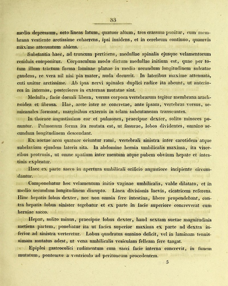 medio depressum, octo lineas latum, quatuor altum, tres crassum ponitur, cum mem- brana vestiente arctissime cohaerens, ipsi insidens, et in cerebrum continuo, quamvis maxime attenuatum abiens. Substantia haec, ad truncum pertinens, medullae spinalis ejusque velamentorum residuis componitur. Corpusculum modo dictum medullae initium est, quae per to- tum illum tractum forma laminae planae in medio secundum longitudinem sulcatae gaudens, re vera nil nisi pia mater, nuda decurrit. In lateribus maxime attenuata, cuti unitur arctissime. Ab ipsa nervi spinales duplici radice ita abeunt, ut anterio- res in internas, posteriores in externas mutatae sint. Medulla, facie dorsali libera, versus corpora vertebrarum tegitur membrana arach- noidea et fibrosa. Hae, arcte inter se concretae, ante ipsam, vertebras versus, se- micanales formant, marginibus externis in telam subcutaneam transeuntes. In thorace angustissimo cor et pulmones, praecipue dexter, solito minores po- nuntur. Pulmonum forma ita mutata est, ut fissurae, lobos dividentes, omnino se- cundum longitudinem descendant. Ex aortae arcu quatuor oriuntur rami, vertebrali sinistra inter carotidem atque subclaviam ejusdem lateris sita. In abdomine hernia umbilicalis maxima, ita visce- ribus protrusis, ut omne spatium inter mentum atque pubem obvium hepate et intes- tinis expleatur. Haec ex parte sacco in apertura umbilicali orificio angustiore incipiente circum- dantur. Componebatur hoc velamentum initio vaginae umbilicalis, valde dilatato, et in medio secundum longitudinem disrupto. Linea divisionis laevis, cicatricem referens. Hinc hepatis lobus dexter, nec non omnia fere intestina, libere propendebant, con- tra hepatis lobus sinister tegebatur et ex parte in lacie superiore concreverat cum herniae sacco. Hepar, solito minus, praecipue lobus dexter, haud sextam suetae magnitudinis metiens partem, ponebatur ita ut facies superior maxima ex parte ad dextra in- ferior ad sinistra verteretur. Lobus quadratus omnino deficit, vel in laminam tenuis- simam mutatus adest, ut vena umbilicalis vesiculam felleam fere tangat. Epiploi gastrocolici rudimentum cum sacci facie interna concrevit, in funem mutatum, pontemve a ventriculo ad peritoneum procedentem. 5