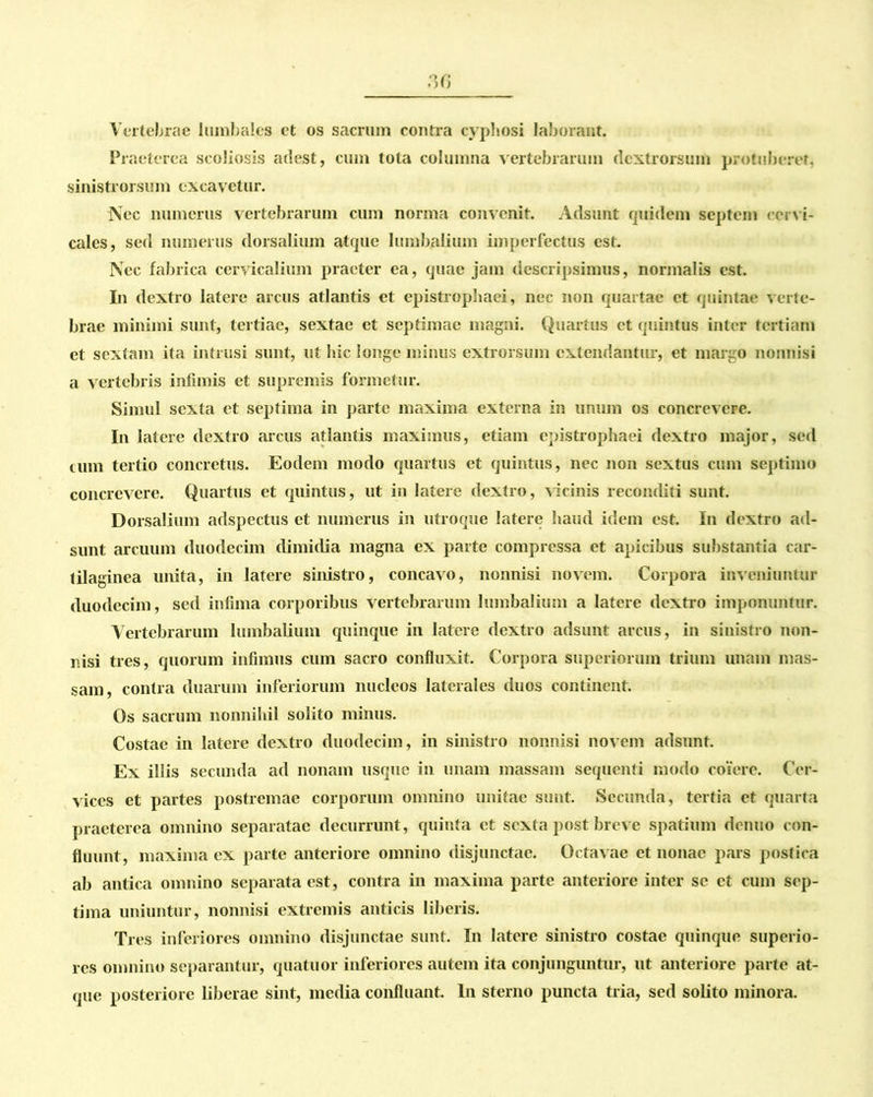 Vertebrae lumbales et os sacrum contra cyphosi laborant. Praeterea scoliosis adest, cum tota columna vertebrarum dextrorsum protuberet, sinistrorsum excavetur. Nec numerus vertebrarum cum norma convenit. Adsunt quidem septem cervi- cales, sed numerus dorsalium atque lumbalium imperfectus est. Nec fabrica cervicalium praeter ea, quae jam descripsimus, normalis est. In dextro latere arcus atlantis et epistropbaei, nec non quartae et quintae verte- brae minimi sunt, tertiae, sextae et septimae magni. Quartus et quintus inter tertiam et sextam ita intrusi sunt, ut hic longe minus extrorsum extendantur, et margo nonnisi a vertebris infimis et supremis formetur. Simul sexta et septima in parte maxima externa in unum os concrevere. In latere dextro arcus atlantis maximus, etiam epistrophaei dextro major, sed cum tertio concretus. Eodem modo quartus et quintus, nec non sextus cum septimo concrevere. Quartus et quintus, ut in latere dextro, vicinis reconditi sunt. Dorsalium adspectus et numerus in utroque latere haud idem est. In dextro ad- sunt arcuum duodecim dimidia magna ex parte compressa et apicibus substantia car- tilaginea unita, in latere sinistro, concavo, nonnisi novem. Corpora inveniuntur duodecim, sed infima corporibus vertebrarum lumbalium a latere dextro imponuntur. Vertebrarum lumbalium quinque in latere dextro adsunt arcus, in sinistro non- nisi tres, quorum infimus cum sacro confluxit. Corpora superiorum trium unam mas- sam, contra duarum inferiorum nucleos laterales duos continent. Os sacrum nonnihil solito minus. Costae in latere dextro duodecim, in sinistro nonnisi novem adsunt. Ex illis secunda ad nonam usque in unam massam sequenti modo coiere. Cer- vices et partes postremae corporum omnino unitae sunt. Secunda, tertia et quarta praeterea omnino separatae decurrunt, quinta et sexta post breve spatium denuo con- fluunt, maxima ex parte anteriore omnino disjunctae. Octavae et nonae pars postica ab antica omnino separata est, contra in maxima parte anteriore inter se et cum sep- tima uniuntur, nonnisi extremis anticis liberis. Tres inferiores omnino disjunctae sunt. In latere sinistro costae quinque superio- res omnino separantur, quatuor inferiores autem ita conjunguntur, ut anteriore parte at- que posteriore liberae sint, media confluant. In sterno puncta tria, sed solito minora.