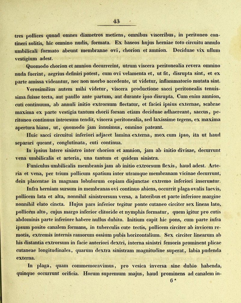tres pollices quoad omnes diametros metiens, omnibus visceribus, in peritoneo con- tineri solitis, hic omnino nudis, formata. Ex baseos hujus herniae toto circuitu annulo umbilicali formato abeunt membranae ovi, chorion et amnion. Deciduae vix ullum vestigium adest. Quomodo chorion et amnion decurrerint, utrum viscera peritonealia revera omnino nuda fuerint, aegrius definiri potest, cum ovi velamenta et, ut fit, disrupta sint, et ex parte amissa videantur, nec non morbo accedente, ut videtur, inflammatorio mutata sint. Yerosimilius autem mihi videtur, viscera productione sacci peritonealis tenuis- siina-fuisse tecta, aut paullo ante partum, aut durante ipso disrupta. Cum enim amnion, cuti continuum, ab annuli initio extrorsum flectatur, et faciei ipsius externae, scabrae maxima ex parte vestigia tantum chorii forsan etiam deciduae adhaereant, saccus, pe- ritoneo continuus introrsum tendit, viscera peritonealia, sed laxissime tegens, ex maxima apertura hians, ut, quomodo jam innuimus, omnino pateant. Huic sacci circuitui inferiori adjacet lamina externa, mox cum ipso, ita ut haud separari queant, conglutinata, cuti continua. In ipsius latere sinistro inter chorion et amnion, jam ab initio divisae, decurrunt vena umbilicalis et arteria, una tantum et quidem sinistra. Funiculus umbilicalis membranis jam ab initio extrorsum flexis, haud adest. Arte- ria et vena, per trium pollicum spatium inter utramque membranam vicinae decurrunt, dein placentae in magnam lobulorum copiam disjunctae extremo inferiori inseruntur. Infra herniam sursum in membranas ovi continuo abiens, occurrit plaga ovalis laevis, pollicem lata et alta, nonnihil sinistrorsum versa, a lateribus et parte inferiore margine nonnihil elato cincta. Hujus pars inferior tegitur ponte cutaneo circiter sex lineas lato, pollicem alto, cujus margo inferior clitoride et nymphis formatur, quem igitur pro cutis abdominis parte inferiore habere nullus dubito. Initium capit hic pons, cum parte infra ipsum posito canalem formans, in tuberculis cute tectis, pollicem circiter ab invicem re- motis, extremis internis ramorum ossium pubis horizontalium. Sex circiter linearum ab his distantia extrorsum in facie anteriori dextri, interna sinistri femoris prominent plicae cutaneae longitudinales, quarum dextra sinistram magnitudine superat, labia pudenda externa. In plaga, quam commemoravimus, pro vesica inversa sine dubio habenda, quinque occurrunt orificia. Horum supremum majus, haud prominens ad canalem in- 6 *