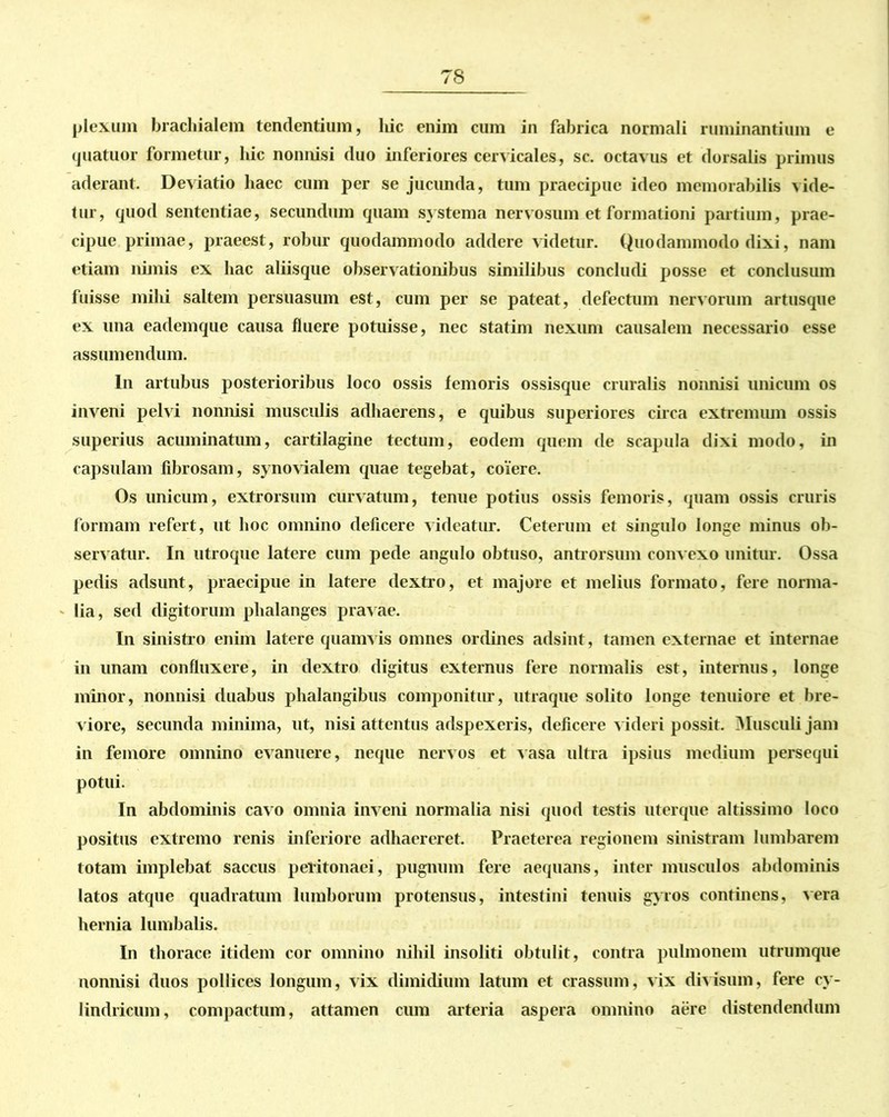 plexum brachialem tendentium, liic enim cum in fabrica normali ruminantium e quatuor formetur, liic nonnisi duo inferiores cervicales, sc. octavus et dorsalis primus aderant. Deviatio haec cum per se jucunda, tum praecipue ideo memorabilis vide- tur, quod sententiae, secundum quam systema nervosum et formationi partium, prae- cipue primae, praeest, robur quodammodo addere videtur. Quodammodo dixi, nam etiam nimis ex hac aliisque observationibus similibus concludi posse et conclusum fuisse milii saltem persuasum est, cum per se pateat, defectum nervorum artusque ex una eademque causa fluere potuisse, nec statim nexum causalem necessario esse assumendum. In artubus posterioribus loco ossis femoris ossisque cruralis nonnisi unicum os inveni pelvi nonnisi musculis adhaerens, e quibus superiores circa extremum ossis superius acuminatum, cartilagine tectum, eodem quem de scapula dixi modo, in capsulam fibrosam, synovialem quae tegebat, coiere. Os unicum, extrorsuin curvatum, tenue potius ossis femoris, quam ossis cruris formam refert, ut hoc omnino deficere videatur. Ceterum et singulo longe minus ob- servatur. In utroque latere cum pede angulo obtuso, antrorsum convexo unitur. Ossa pedis adsunt, praecipue in latere dextro, et majore et melius formato, fere norma- lia, sed digitorum phalanges pravae. In sinistro enim latere quamvis omnes ordines adsint, tamen externae et internae in unam confluxere, in dextro digitus externus fere normalis est, internus, longe minor, nonnisi duabus phalangibus componitur, utraque solito longe tenuiore et bre- viore, secunda minima, ut, nisi attentus adspexeris, deficere videri possit. Musculi jam in femore omnino evanuere, neque nervos et vasa ultra ipsius medium persequi potui. In abdominis cavo omnia inveni normalia nisi quod testis uterque altissimo loco positus extremo renis inferiore adhaereret. Praeterea regionem sinistram lumbarem totam implebat saccus peritonaei, pugnum fere aequans, inter musculos abdominis latos atque quadratum lumborum protensus, intestini tenuis gyros continens, vera hernia lumbalis. In thorace itidem cor omnino nihil insoliti obtulit, contra pulmonem utrumque nonnisi duos pollices longum, vix dimidium latum et crassum, vix divisum, fere cy- lindricum, compactum, attamen cum arteria aspera omnino aere distendendum