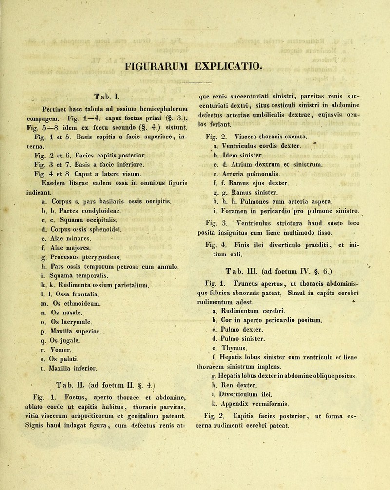 FIGURARUM EXPLICATIO. Tab. I. Pertinet haec tabula atl ossium hemicephaloruin compagem. Fig. 1—4. caput foetus primi (§. 3.), Fig. 5—8. idem ex foetu secundo (§. 4.) sistunt. Fig. 1 et 5. Basis capitis a facie superiore, in- terna. Fig. 2 et. 6. Facies capitis posterior. Fig. 3 et 7. Basis a facie inferiore. Fig. 4 et 8. Caput a latere visum. Eaedem literae eadem ossa in omnibus figuris indicant. a. Corpus s. pars basilaris ossis occipitis. b. b. Partes condyloideae. c. c. Squama occipitalis. d. Corpus ossis sphenoidei. e. Alae minores. f. Alae majores. g. Processus pterygoideus. h. Pars ossis temporum petrosa cum annulo. i. Squama temporalis. lc. k. Rudimenta ossium parietalium. l. 1. Ossa frontalia. m. Os ethmoideum. n. Os nasale. o. Os lacrymale. p. Maxilla superior. q. Os jugale. r. Vomer. s. Os palati. t. Maxilla inferior. Tab. II. (ad foetum II. §. 4.) Fig. 1. Foetus, aperto thorace et abdomine, ablato corde ut capitis habitus, thoracis parvitas, vitia viscerum uropoeticorum et genitalium pateant. Signis haud indagat figura, cum defectus renis at- que renis succenturiati sinistri, parvitas renis suc- centuriati dextri, situs testiculi sinistri in abdomine defectus arteriae umbilicalis dextrae, cujusvis ocu- los feriant. Fig. 2. Viscera thoracis cxemta. a. Ventriculus cordis dexter. b. Idem sinister. c. d. Atrium dextrum et sinistrum. e. Arteria pulmonalis. f. f. Ramus ejus dexter. g. g. Ramus sinister. h. h. h. Pulmones cum arteria aspera. i. Foramen in pericardio pro pulmone sinistro. Fig. 3. Ventriculus strictura haud sueto loco posita insignitus cum liene multimodo fisso. Fig. 4. Finis ilei diverticulo praediti, et ini- tium coli. Tab. III. (ad foetum IV. §. 6.) Fig. 1. Truncus apertus, ut thoracis abdominis- que fabrica abnormis pateat. Simul in capite cerebri rudimentum adest. * a. Rudimentum cerebri. b. Cor in aperto pericardio positum. c. Pulmo dexter. d. Pulmo sinister. e. Thymus. f. Hepatis lobus sinister cum ventriculo et liene thoracem sinistrum implens. g. Hepatis lobus dexter in abdomine oblique positus. h. Ren dexter. i. Diverticulum ilei. k. Appendix vermiformis. Fig. 2. Capitis facies posterior, ut forma ex- terna rudimenti cerebri pateat.