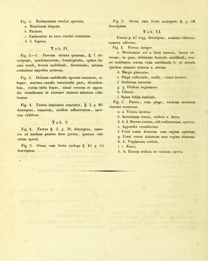 a. Membrana cingens. b. Parietes. c. Eminentiae in cavo cerebri contentae. d. d. Septum. T a b. IV. Fig. 1—3. Foetum sistunt quintum, §. 7. de- scriptum, quadrimestrem, hemicephalia, spinae fis- sura totali, hernia umbilicali, diverticulo, artuum evolutione impedita notatum. Fig. 3. Herniae umbilicalis apertae contenta, sc. hepar, maxima canalis intestinalis pars, diverticu- lum, statim infra hepar, simul coccum et appen- dix vermiformis in extremo sinistro inferiore exhi- bentur. Fig. 4. Foetus femininus semestris, §. 3. p. 40. descriptus, tumorem, natibus adhaerentem, aper- tum exhibens. Tab. V. Fig. 1. Foetus §. 2. p. 38. descriptus, tumo- res ad nucham positos duos gerens, quorum sini- strum aperui. Fig. 2. Ovum cum foetu cyclope §. 18. p. 83 descriptum. descriptum. Tab. VI. Foetus p. 42 seqq. descriptus, maximo vitiorum numero affectus. Fig. 1. Foetus integer. a. Membranae ovi a facie interna, foetui ob- versae, in quas, deficiente funiculo umbilicali, ven- tri insidentes statim vena umbilicalis b. et arteria ejusdem nominis sinistra c. abeunt. d. Margo placentae. e. Plaga rubicunda, mollis, vesica inversa. f. Orificium intestini. g. g. Orificia vaginarum. h. Clitoris. i. Spina bifida lumbalis. Fig. 2. Partes, cum plaga, vesicam inversam sistente connexae. a. a. Vesica inversa. b. Intestinum tenue, orificio c. hians. d. d. d. Saccus coecus, coli rudimentum, apertus. c. Appendix vermiformis. f. Uteri cornu dextrum cum vagina apertum. g. Uteri cornu sinistrum cum vagina clausum. h. h. Vaginarum orificia. i. i. Renes. k. k. Eorum orificia in vesicam aperta.