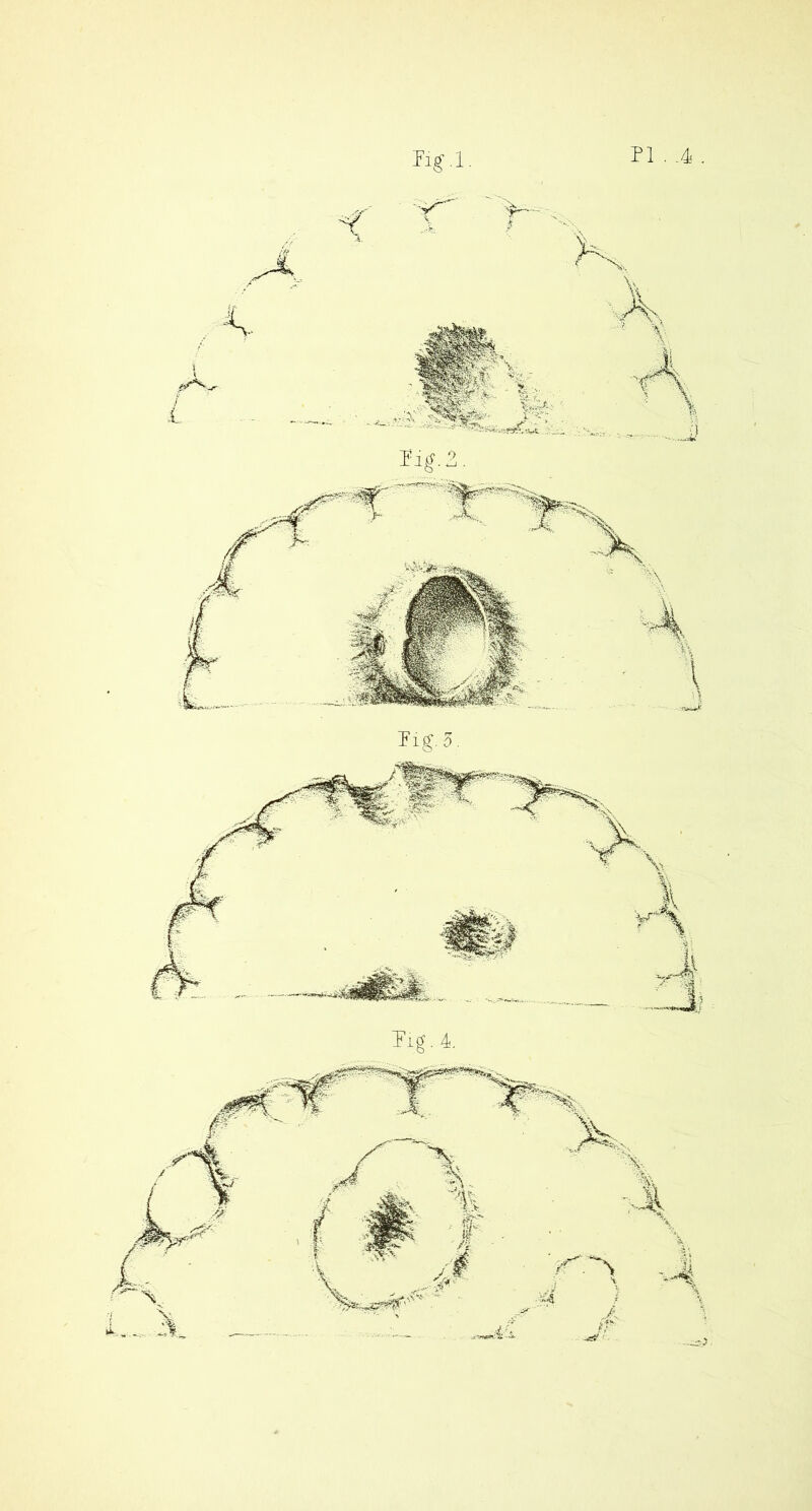 PI . .4, hg.3. Pig. 4. A , % L