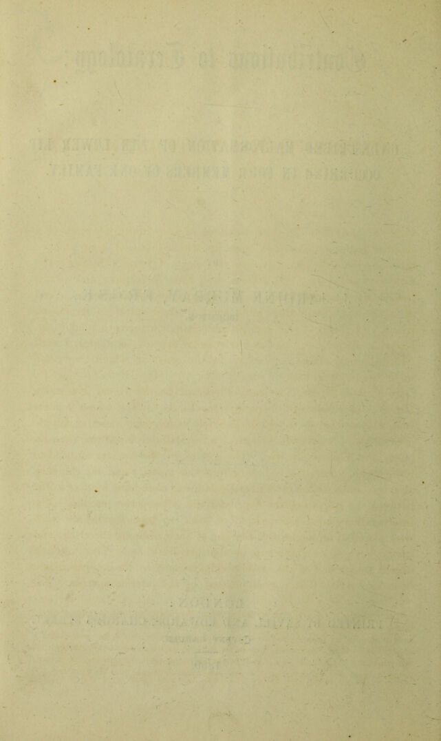 digitised image 2