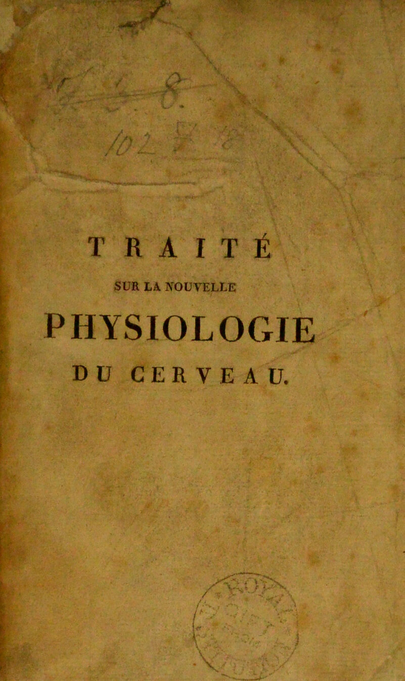 SUR LA. NOUVELLE PHYSIOLOGIE DU CERVEAU.