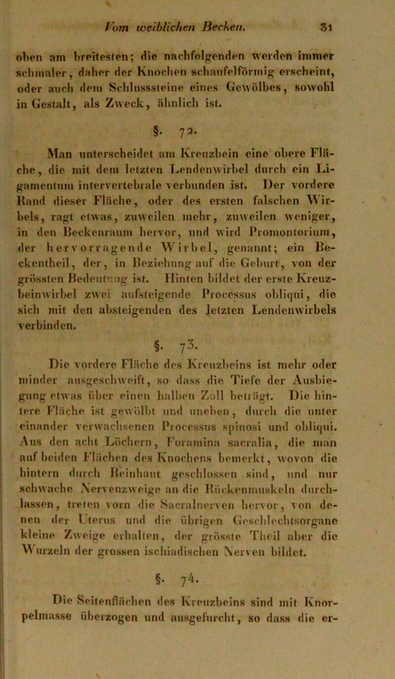 ohen am breilesJen; die nachfolffcnden 'werden immer schmaler, daher der Knochen schanfelförmig erscheint, oder auch dein Schlnsssteine eines Gewölbes, sowohl in Gestalt, als Zweck, ähnlich ist. §• 7^- Man unterscheidet am Kreuzbein eine obere Flä- che, die mit dem letzten Lendenwirbel durch ein Li- gamentum intervertebrale verbunden ist. Der vordere Rand dieser Fläche, oder des ersten falschen Wir- bels, ragt etwas, zuweilen mehr, zuweilen weniger, in den Reckenraum hervor, und wird rroniontorium, der hervorragende Wirbel, genannt; ein Be- ckentheil, der, in Beziehung auf die Geburt, von der grössten Bedeutung ist. Hinten bildet der erste Kreuz- beinwirbel zwei aufsteigende Processus obliqui, die sich mit den absteigenden des letzten Lendenwirbels verbinden. §• 7^- Die vordere Fläche des Kreuzbeins ist mehr oder minder ausgeschweift, so dass die Tiefe der Ausbie- gung etwas über einen halben Zoll betiägt. Die hin- tere Fläche ist gewölbt und uneben, durch die unter einander verwachsenen Processus spinosi und obliqui. Aus den acht Löcliern, Foramina sacralia, die man au f beid en P'lächen des Knochens bemerkt, wovon die hintern diircli Beinhaut geschlossmi sind, und nur schwache Xervenzweige an die Biickenmuskeln durch- lassen, treten vorn die Sacralnerven hervor, von de- nen der Uterus und die übrigen Geschlechtsorgane kleine Zweige erhallen, der grösste Theil aber die Wurzeln der grossen ischiadiseben Nerven bildet. §• 7i- Die Seitenflächen des Kreuzbeins sind mit Knor- pelmasse überzogen und ausgefurcht, so dass die er-