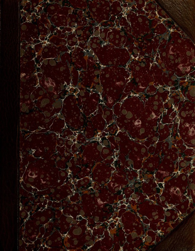 digitised image 1