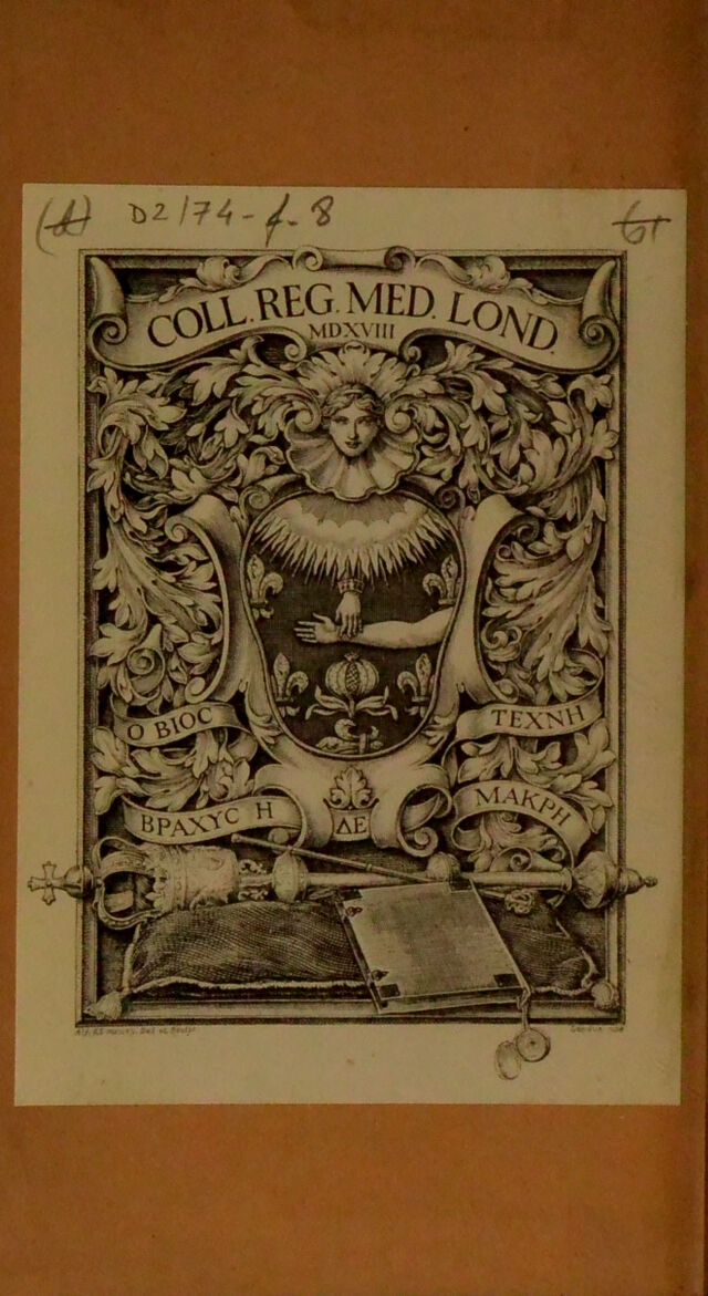 digitised image 2