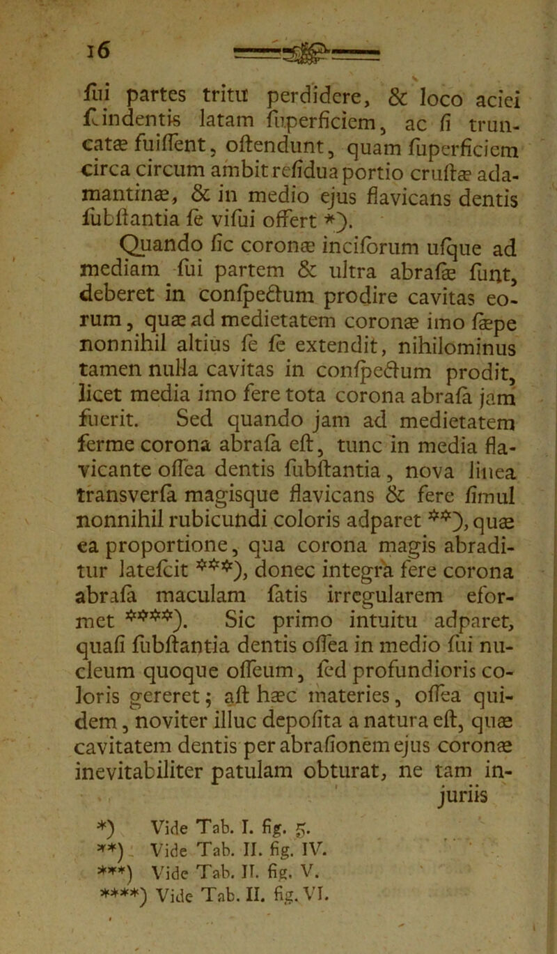 16 fui partes tritit perdidere, & loco aciei findentis latam fuperficiem, ac fi trun- cata? fu i flent, oftendunt, quam fuperficiem circa circum ambit refidua portio cruftge ada- mantina, & in medio ejus flavicans dentis fubflantia fe vifui offert *). Quando fic corona inciforum ufque ad mediam fui partem & ultra abrafa? funt, deberet in confpe&um prodire cavitas eo- rum, qua ad medietatem corona imo fape nonnihil altius fe fe extendit, nihilominus tamen nulla cavitas in confpeftum prodit, licet media imo fere tota corona abrafa jam fuerit. Sed quando jam ad medietatem ferme corona abrafa efl, tunc in media fla- vicante oflea dentis fubflantia, nova linea transverfa magisque flavicans & fere fimul nonnihil rubicundi coloris adparet qua? ea proportione, qua corona magis abradi- tur latefcit *j;r5;r), donec integra fere corona abrafa maculam fatis irregularem efor- met ^^3. Sic primo intuitu adparet, quafi fubflantia dentis oflea in medio fui nu- cleum quoque ofleum, ied profundioris co- loris gereret; aft haec materies, oflea qui- dem , noviter illuc depofita a natura efl, qua? cavitatem dentis per abrafionem ejus corona? inevitafciliter patulam obturat, ne tam in- juriis *) Vide Tab. I. fig. 5. **) Vide Tab. II. fig. IV. ***) Vide Tab. II. fig. V.