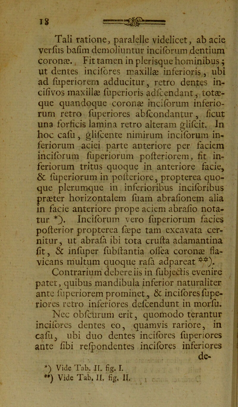 Tali ratione, paralelle videlicet, ab acie verfiis bafim demoliuntur inciforum gentium coronae. Fit tamen in plerisque hominibus; ut dentes incifores maxilla inferioris, ubi ad fuperiorem adducitur, retro dentes in- cifivos maxilla? fuperioris adfoendant, totse- que quandoque corona? inciforum inferio- rum retro fuperiores abfcondantur , ficut una forficis lamina retro alteram glifcit. In hoc cafu, glifoente nimirum inciforum in- feriorum aciei parte anteriore per faciem inciforum fuperiorum pofteriorcm, fit in- feriorum tritus quoque in anteriore facie, & fuperiorum in pofieriore, propterea quo- que plerumque in inferioribus inciforibus praeter horizontalem fuam abrafionem alia in facie anteriore prope aciem abrafio nota- tur *). Inciforum vero fuperiorum facies pofterior propterea fa?pe tam excavata cer- nitur, ut abrafa ibi tota crufta adamantina fit, & infuper fobffantia offea coronae fla- vicans multum quoque rafa adpareat Contrarium debere iis in fubje&is evenire patet, quibus mandibula inferior naturaliter ante fuperiorem prominet, & incifores fupe- riofes retro inferiores defoendunt in morfu. Nec obfourum erit, quomodo terantur incifores dentes eo, quamvis rariore, in cafu, ubi duo dentes incifores fuperiores ante fibi refoondentes incifores inferiores de- *) Vide Tab. II. fig. I.