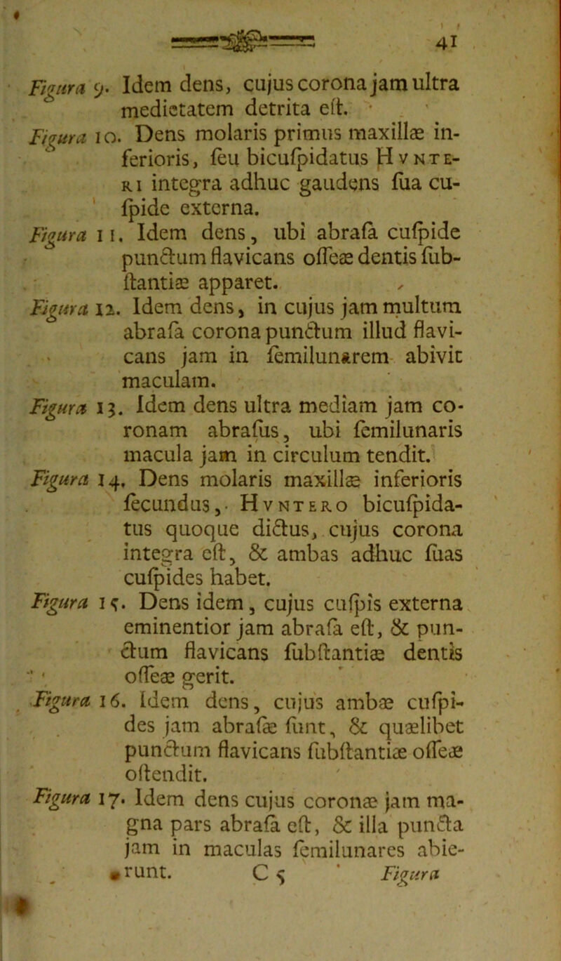 Figura 9. Idem dens, cujus corona jam ultra medietatem detrita e it. • Figura 10. Dens molaris primus maxillae in- ferioris, feu bicufpidatus Hvnte- r i integra adhuc gaudens fua cu- fpide externa. Figura 11. Idem dens, ubi abrafa cufpide punftum flavicans ofleae dentis fub- ftantiae apparet. Figura 12. Idem dens, in cujus jam multum abrafa corona punftum illud flavi- cans jam in femiluiiftrem abivit maculam. Figura 13. Idem dens ultra mediam jam co- ronam abrafus, ubi femilunaris macula jam in circulum tendit. Figura 14, Dens molaris maxillae inferioris fecundus,- Hvntero bicufpida- tus quoque diftus, cujus corona integra eft, & ambas adhuc fiias cufpides habet. Figura h. Dens idem, cujus cufpis externa eminentior jam abrafa eft, & pun- ctum flavicans fubftantiae dentis offeae gerit. Figura 16. Idem dens, cujus ambae cufpi- des jam abrafkfunt, & quaslibet punctum flavicans fubftantiae o fle de oftendit. Figura 17. Idem dens cujus coronae jam ma- gna pars abrafa eft, & illa pun&a jam in maculas femilunares abie- • runt. C 5 Figura