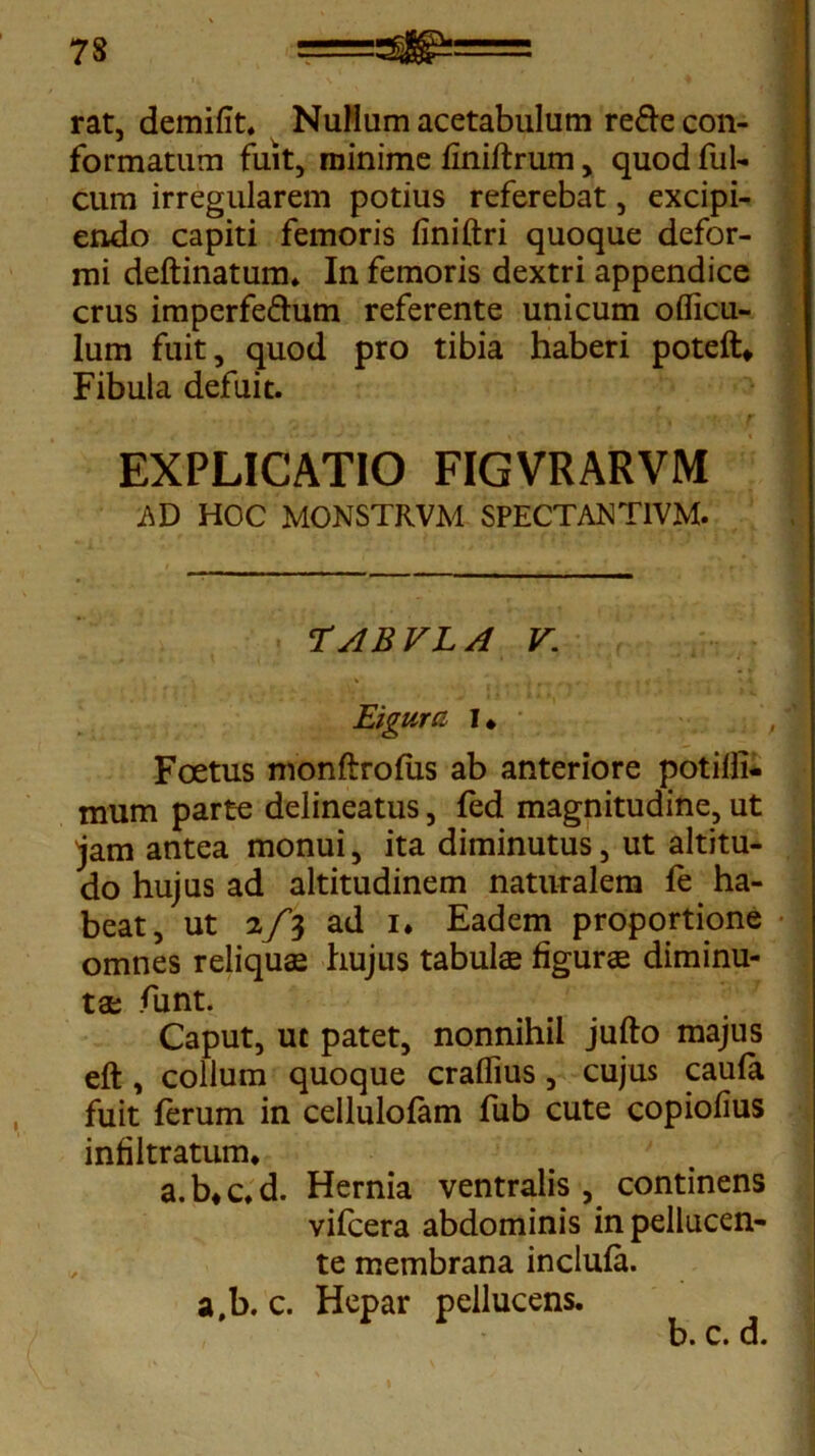 rat, demifit. Nullum acetabulum refte con- formatum fuit, minime finiftrum, quod fui- cum irregularem potius referebat, excipi- endo capiti femoris finiftri quoque defor- mi deftinatum* In femoris dextri appendice crus imperfe&um referente unicum oflicu- lum fuit, quod pro tibia haberi poteft* Fibula defuit. EXPLICATIO FIGVRARVM AD HOC MONSTRVM SPECTANT1VM. rslBVLd V. Ei gura I * Foetus monftrofus ab anteriore potilli- mum parte delineatus, fed magnitudine, ut jam antea monui, ita diminutus, ut altitu- do hujus ad altitudinem naturalem fe ha- beat, ut 2/3 ad 1. Eadem proportione omnes reliqua hujus tabula figura diminu- ta funt. Caput, uc patet, nonnihil jufto majus eft, collum quoque craflius, cujus caula fuit ferum in cellulofam fub cute copiofius infiltratum. a.b*c.d. Hernia ventralis, continens vifcera abdominis inpellucen- te membrana inclufa. a,b. c. Hepar pellucens. b. c. d.