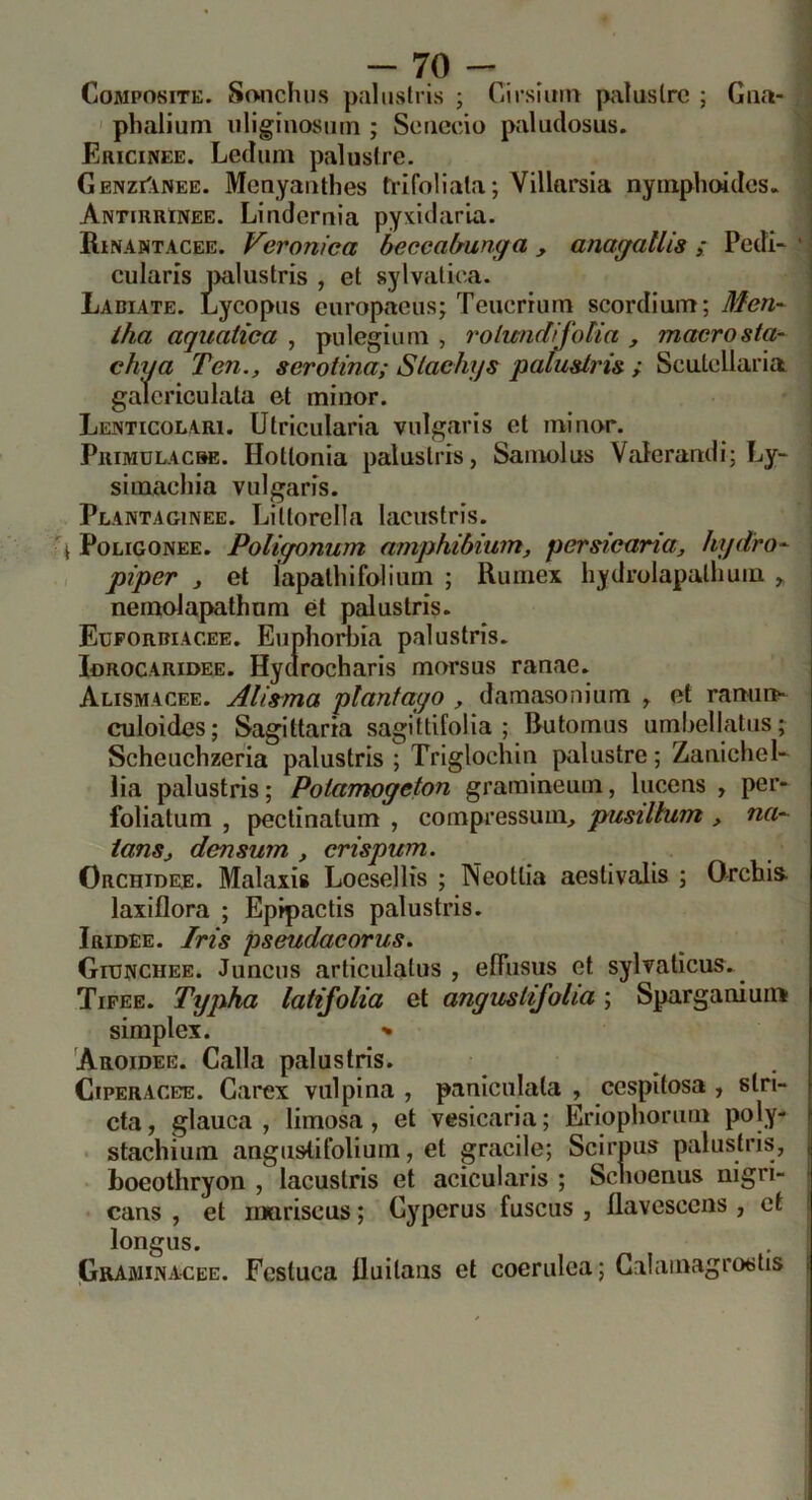 Composite. So^ichiis palnslris ; Cirsimu paluslre ; Gaa- j phalium iiliginosiiin ; Scaccio paludosus. j Ericinee. Ledimi palustre. Genzi^inee. Menyaathes trifoliala; Villarsia nyinphoidcs. Antirrinee. Lindernia pyxidarla. | Rinahtacee. Veronica beccabuncfa, anayallis ; Pedi-' cularis mlustris , et sylvalica. | Ladiate. Lycopus eiiropaeus; Teiicrrum scordium; Men- | iha aquatica , pulegium , rolwidijbtia , macrosta- | chya Ten., scrotina; Slachys palusiri& ; Scutellaria j gaicriculata et minor. i Lenticolari. Utricularia vulgaris et minor. | Pkimulacre. Hotlonia palnslris, Samolus Valerandi; Ly- ' simachia vulgaris. i Plantaginee. Lillorclla lacustris. | i PoLiGONEE. Poliyonum amphibium, persicaria, kydro^ pìper , et lapalliifoliurn ; Rumex liydrolapallmm ,, neraolapathom et palustris. Eupordiacee. Euphoriiia palustris. loROCARiDEE. Hyorocharis morsus ranae. Alismacee. Alis^ma planfaqo , damasonium , et ramina culoides; Sagittaria sagittifolia ; Butomus umbellatus; Scheuchzeria palustris ; Triglochin palustre ; ZanicheL lia palustris; Polamogeton graraineum, liicens , per- foliatum , pectinatum , compressimi, pusiltum , na-^ ianSj densum , crispum. Orchidee. Malaxis Loesellis ; Neottia aestivalis ; Orchls- laxiflora ; Epipactis palustris. Iridee. Iris pseudacorus. GroNCHEE. Juncns articulatus , elTusus et sylvatìcus. Tipee. Typha latifolia et anguslifolia ; Sparganiuir» simplex. Aroidee. Calla palustris. Ciperacbe. Garex viilpina , paniculala , cespitosa , slri- cta, glauca, limosa, et vesicaria; Érioplioriim poly- stachiura anguslifolium, et gracile; Scirpiis palustris, boeothryon , lacustris et acicularis ; Schoenus nigri- cans , et iiiuriscus ; Cyperus fuscus , flavescciis , et ! longus. Graminacee. Festuca Uuilaas et coerulea; Galaiiiagrostis i