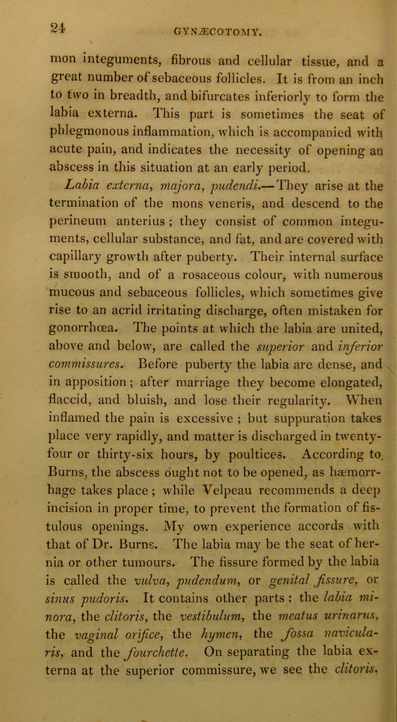 mon integuments, fibrous and cellular tissue, and a great number of sebaceous follicles. It is from an inch to two in breadth, and bifurcates inferiorly to form the labia externa. This part is sometimes the seat of phlegmonous inflammation, which is accompanied with acute pain, and indicates the necessity of opening an abscess in this situation at an early period. Labia externa, major a, pudendi.— They arise at the termination of the mons veneris, and descend to the perineum anterius ; they consist of common integu- ments, cellular substance, and fat, and are covered with capillary growth after puberty. Their internal surface is smooth, and of a rosaceous colour, with numerous mucous and sebaceous follicles, which sometimes give rise to an acrid irritating discharge, often mistaken for gonorrhoea. The points at which the labia are united, above and below, are called the superior and inferior commissures. Before puberty the labia are dense, and in apposition; after marriage they become elongated, flaccid, and bluish, and lose their regularity. When inflamed the pain is excessive ; but suppuration takes place very rapidly, and matter is discharged in twenty- four or thirty-six hours, by poultices. According to Burns, the abscess ought not to be opened, as haemorr- hage takes place; while Velpeau recommends a deep incision in proper time, to prevent the formation of fis- tulous openings. My own experience accords with that of Dr. Burns. The labia may be the seat of her- nia or other tumours. The fissure formed by the labia is called the vulva, pudendum, or genital fissure, or sinus pudoris. It contains other parts : the labia mi- nora, the clitoris, the vestibulum, the meatus urinarus, the vaginal orifice, the hymen, the fossa navicula- ris, and the fourchette. On separating the labia ex- terna at the superior commissure, we see the clitoris.