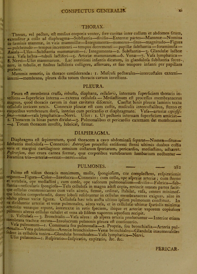 iniit ii4 pi) bio- 0 lHf CONSPECTUS GENERALIS. xi THORAX. Thorax, vel pe£lus, eft medius corporis venter, five cavitas inter collum et abdomen fitum, extenditur ^ collo ad diaphragma—Subftantia—divifio—Externas partes—Mammas—Nomina in feminis mammae, in viris mammillas—Integumenta—numerus—fitus—inagnitudo—Figura pulchritudo — tempus incrementi — tempus decrementi — papillas fubftantia—foraminula— Areola—Ufus—Subftantia mammarum—i. Integumenta—2. Subftantia—3. Glandulae ladieas 4. Vafa laftea—tubuli laftiferi—5. Arterias mammarum—6. Venas—7. Vafa lymphatica— 8. Nervi—Ufus mammarum. Lac nutritioni infantis dicatum, in glandulofa fubftantia fecer-\ nere, in tubulis, et finibus ladtiferis colligere, aflervare, et fuo tempore infanti per papillam prasbere. Mammis remotis, in thorace confideranda; i. Mufculi pedtorales—intercoftales externi-— interni—membrana, pleura di£la totum thoracis cavum inveftiens. PLEURA. Pleura efl membrana crafla, robufta, diaphana, cellulans. Internam fupcrficiem thoracis in- veftiens— fuperficies interna — externa cellulofa — Mediaftinum eft proceflus membranaceus magnus, quod thoracis cavum in duas cavitates difccrnit. Conflat binis pleuras laminis textu cellulofo invicem nexis. Connexio pleuras eft cum coftis, mufculis intercoftalibus, flerno et corporibus vertebrarum dorfi, interius cum pericardio et diaphragmate.' Vafa—arteriae cQpioJif- JhtuE—venas—vafa lymphatica—Nervi. Ufus : i. Ut pedtoris internam fuperficiam amiciat 2. Thoracem in binas partes dividat—3. Pulmonalibus et pericardio externam dat membranam —4. Totum thoracem inveftit, lubricat, firmat. DIAPHRAGMA. Diaphragma eft fepimentum, quod thoracem a cavo abdominali feparat—Nomen—fitus— fubftantia mufculofa—Connexio: Antrorjum proceffui enfiformi fterni ultimis duabus coftis veris et margini cartilagineo omnium coftarum fpuriarum, pericardio, mediaftino, adhaeret. Pojlrorfum, duo crura carnea format, quas corporibus vertebrarum lumbarium nedtuntur — Foramina tria—arteria:—venas—nervi—ufus PULMONES. aS2 Pulmo eft vifcus thoracis maximum, molle, fpongiofum, cor compledlens, refpirationis organon—Figura—Color—Involucra—Connexio: cum collo, ope afperiae arteriae; cum flerno et vertebris, ope mediaftini; cum corde, ope vaforum pulmonalium—divifio—Fabrica fub- ftantia—veficularis fpongiofa—Tela cellulofa in magna adeft copia, revincit omnes partes facit- que cellulas communicantes cum vafis aereis, firmat, ordinat, ftabilat, vafa, omnes minimof- que lobulos comprehendit, donec lobuli refolvantur in cellulas membranaceas exiguas, aere in adulto plenas varias figurs. Cellulofa hxc tela audla ultimo ipfum pulmonem conllituit. In ea dividuntur arteris et venx pulmonales, aerea vafa, et in cellulofe ultims fpatiolis minim» arteriolas vensque repunt, mtertexts in retis fpeciem, ibique et arteris vaporem copiofum pulmonis aereas cellulas exhalet et vena ab iifdem vaporem aquofum recipit. 2. Vafculofa — 3. Bronchialis—Vafa aerea: ab afpera arteria producuntur — Interior etiam membrana traches nervea—Involucrum pulmonis pleura eft continuatio. mon. V feu pulmonalia—2. Propria, feu bronchialia—Arteria pul- S f Plmoahs—Arteris bronchiales—Vens bronchiales—Glandufe innumerabiles it/ cellulofa tunica—^Glandufe bronchiales—Vafa lymphatica—Nervi, Ius pulmonis—i. Kefpiratio—Infpiratio, expiratio, &c. &c. PERICAR-