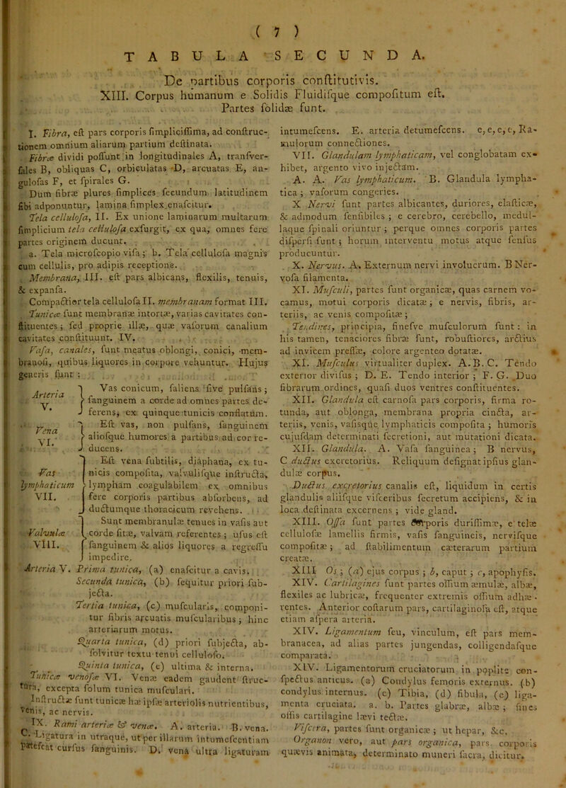 tabula secunda. De nartibus corporis confliitutivls. XIII. Corpus humanum e Solidis Fluidifque compofitum eft. Partes fblidae funt. I. Fibra, eft pars corporis fimpliciffima, ad conftruc- tionem omnium aliarum partium deftinata. Fibrcs dividi polTuntdn longitudinales A, tranfver- lales B, obliquas C, orbiculatas -D, arcuatas E, an- gulofas F, et fpirales G. Dum fibrae plures fimplices fecundum, latitudinem fibi adponuntur, lamina fimplex enafcitur. 7’ela cdluloja, II. Ex unione laminarum multarum fimplicium tela cettidoja exfurgit, ex qua, omnes fere partes originem ducunt. . a. Tela micrpfcopio vifa ; b. Tela'cellulofa magnis cum cellulis, pro adipis receptione. Membrana, III. eft pars albicans, flexilis, tenuis, & expanfa. Compaflior tela cellulofaII, membranam format III. I'u7tica funt membrariaj intortae, varias cavitates con- ftituentes j fed proprie illae, quae vafqrum canalium cavitates conftituunt. IV. < P'afa, canales, funt meatus oblongi, conici, -mem- branofi, quibus liquores in corpore vehuntur, tlujus generis funt : . ..i. . Vas conicum, falieirs TiVe pulfans; fanguinem a corde ad omnes partes de- ferens, ex quinque tunicis conflatum. Eft vas, non pulfans, fanguinem aiiofquc humores, a partibuSi ad.cor re- ducens. Eft vena fubtilis, diaphana, ex tu- nicis compofita, valvulifque inftrucla, lympham coagulabilem ex omnibus fere corporis partibus abforbciis, ad duflumque thoracicum revehens. Sunt membranulae tenues in vafis aut corde fitae, valvam referentes; ufus eft VIII. I fanguinem & alios liquores a regreffu j impedire. Arteria V, Prima tunica, (a) enafeitur a cavis. Secunda tunica,, (b) fequltur priori fub- jefta. 1'ertia tunka, (c) mufcularls, componi- tur fibris arcuatis mufcularibus j hinc arteriarum motus. Sluarta tunica, (d) priori fubjefta, ab- folvitur textu tenui cellulofo, Sluinta tunica, (e) ultima & interna. lufiicie •venofec VI. Venae eadem gaudent ftruc- ^Oth, excepta folum tunica mufculari. Inflruftjc funt tunicte hae ipfae arteriolis nutrientibus, ^'Cnis, ac nervis. IX. Rami arteria: mena:. A. arteria. B. vena. Ligatura in utraque, ut per illarum intumcfccntiam patefeat curfus fanguinis. D.’ vena ultra ligaturam intumefeens. E. arteria detumefeens. c, e, e, e, T<a- Eiulorum conneftiones. VII. Glandulam lymphaticam, vel conglobatam ex- hibet, argento vivo injeftam. A. a' Fas lymphaticum. B. Glandula lympha- tica ; vaforum congeries. X Nervi funt partes albicantes, duriores, elafticae, & admodum fenfibiles ■, e cerebro, cerebello, mcdul- laque fpinali oriuntur; perque omnes corporis partes difpcrfi funt ; horum interventu motus atque fenfus producuntur. X. Nervus. A. Externum nervi involucrum. BNer- vofa filamenta. XI. Mufculi, partes funt organiese, quas carnem vo- camus, motui corporis dicata;; e nervis, fibris, ar- teriis, ac venis compofita;; ‘Pei.diires, principia, finefvc mufculorum funt: in his tamen, tenaciores fibrte funt, robuftiores, arftius ad invicem prefla;, colore argenteo dotatas. XI. Mufculus virtualiter duplex. A.B.C. T^ndo exterior divifus; D. E. Tendo interior ; F. G. ,Duo fibrarum ordines, quafi duos ventres conftituentes. XII. Glandula eft carnofa pars corporis, firma ro- tunda, aut oblonga, membrana propria cin£la, ar- teriis, venis, vafisque, lymphaticis compofita ; humoris cujufdam determinati fecretioni, aut mutationi dicata. XII. Glandula. A. Vafa fanguinea; B nervus, C duNus excretorius. Reliquum defignatipfius glan- dula; corpus. Dudius excretorius canalis eft, liquidum in certis glandulis aliifque vifceribus fccretum accipiens, & in loca deftinata excernens ; vide gland. XIII. OJfa funt partes flSVporis durillima;, e'telae cellulofa; lamellis firmis, vafis fanguineis, nervifque compofita;; ad ftabilimentum caaterarum pai‘tium creata;. XlII Os ; (n) ejus corpus ; b, caput ; c, apophyfis. XIV. Cartilagines funt partes offium aemulae, alba;, flexiles ac lubrica;, frequenter extremis offium adha;. ventes. Anterior coftarum pars, cartilaginolh eft, atque etiam afpera arteria. XIV. Ligamentum fcu, vinculum, eft pars mem- branacea, ad alias partes jungendas, colligendafquc comparata.’ XIV. Ligamentorum cruciatorum in .ppplite con- fpeflus anticus, (a) Condylus femoris externus, (b) condylus, internus, (c) Tibia, (d) fibula, (e) liga- menta cruciata, a. b. Partes glabra;, alba: ; fines oifis cartilagine laevi ttfXx. Fifcera, partes funt organica;; ut hepar, Sic. Organon vero, aut pars organica, pars, corporis quiCvis animata, determinato muneri facra, dicitur. Arteri Y. tria I • J na I J Fena V Vas lymphaticum VII. ■Valvula: