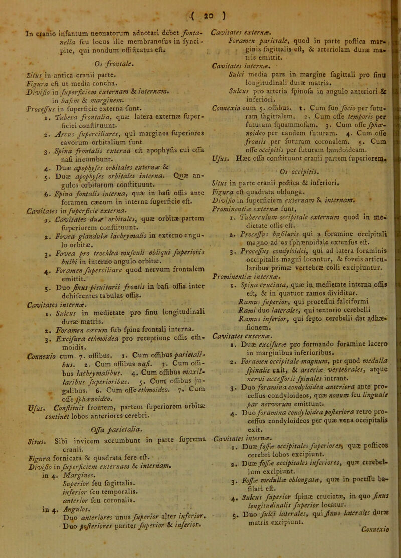 In cfanio irifantum neonatorum adnotarl debet fonta- nella feu locus ille membranofus in fynci- pite, qui nondum oflificatus eft. Os ‘froyitale. Silus in antica cranii parte. Figura eft ut media concha. Divifio in fuperficiem externam Si inlernamt in bafim & marginem. Frocejfus in lupcrficie externa-funt. ,i. T'ubera frontalia, quaj latera externse fuper- ficiei conftituunt. ,2. Arcus fuperciUares, qui margines fuperiores cavorum orbitalium fiint 3. Spina frontalis externa eft apophyfis cui ofla nafi incumbunt. 4. Duae apophyfes orbitales externa Sc 5. Duae xxpophyfes orbitales interna. Quae an- gulos'orbitarum conftituunt. «. Spina fontalis interna, qus in bafi offis ante foramen caecum in interna fuperficie eft. Cavitates in fuperficie externa. ji,. Cavitates dua ‘ orbitales, quae orbitae partem fuperiorem conftituunt. %, Fovea glandula lachrymalis in externo angu- lo orbitae. 3. Fovea pro trochlea mufculi obliqui fuperiqris bulbi in interno angulo orbitae. 4. Foramen fuperciliare quod nervum frontalem emittit. 5. Duo jinus pituitarii frontis in baft offis inter dehifcentes tabulas offis. Cavitates internet. I. Sulcus in medietate pro finu longitudinali durae matris. *. Foramen cacum fub fpina frontali interna. 3. Excifura ethmoidea pro receptione offis eth- moidis. Connexio cum 7. offibus. 1. Cum o^\h\xs parietali- bus. z. Cum offibus «<27?. 3. Cum offi- bus lachrymalibus. 4. Cum offibus maxil- laribus fuperioribus. 5. Cum' offibus ju- galibus. 6. Cum ethmoideo. 7» Cum oS^fphecnoideo, Vfus. Confiituit frontem, partem fuperiorem orbitK continet lobos anteriores cerebri. Offa parietalia. Situs. Sibi invicem accumbunt in parte fuprema cranii. Figura fornicata & quadrata fere eft. Divifio in fuperficiem externam Sc internam, in 4. Margines. Superior feu fagittalis. inferior feu temporalis. anterior feu coronalis. in 4. Angulos. • • _ Dqo anteriores unus fuperior alter inferior. Duo pafleriores fnperior Sc inferior. Cavitates externas. Foramen parietale, quod in parte poftica mar« 1 ginis fagittalis eft, Sc arteriolam dura» ma- tris emittit. Cavitates hiternce, ■ Sulci media pars in margine fagittali pro finu longitudinali durae matris. Sulcus pro arteria fpinofa in angulo anteriori & inferiori. Connexio cum 5. offibus. t. Cum fuo/ocio per futu- ram fagittalem. 2. Cum offe temporis per futuram fquammofam. 3. Cum oflfe fphtr- ttoideo per eandem futuram. 4. Cum ofle frontis per futuram coronalem. 5. Cum offe occipitis per futuram lamdoideam. Ufus. Haec offa conftituunt cranii partem fuperiorem» Os occipitis. Situs in parte cranii poftica & inferiori. Figura eft quadrata oblonga. Divifio in fuperficiem externam &. internam. Prominenti ce exter nue funt, 1. Tuberculum occipitale externum quod in me- dietate offis eft. 2. Frocejfus bafilaris qui a foramine occipitali magno ad gs fphaenoidalc extenfus eft. 3. Frocejfus condyloidei, qui ad latera foraminis occipitalis magni locantur, & foveis articu- laribus primae vertebrae colli excipiuntur. Frominentiee interna. I. Spina cruciata, quae in. medietate interna offis eft, & in quatuor ramos dividitur. Ramus Juperior, qui proceffui falciformi Rami duo laterales, qui tentorio cerebelli Ramus inferior, qui fepto cerebelli dat ^dhae- fionem. Cavitates externa:. 1. Duae excifura pro formando foramine lacero in marginibus inferioribus, 2. Foramen occipitale magnum, per quod medulla fpinalis exit, & arteria vertebrales, atque nervi accejforii fpinales intrant. 3. Duo foramina condyloidea anteriora ante pro- ceffus condyloideos, quae nonum feu linguale par nervorum emittunt. 4. Duo foramina condyloidea pofieriora retro pro- celfus condyloideos per quae vena occipitalis exit. Cavitates interna. I. Dux fojfa occipitales fuperiores^ quae pofticos cerebri lobos excipiunt. a. Dux fojfa occipitales inferiores, quae cerebel- lum excipiunt. 3. Fojfa medulla oblongata, quae in poceffu ba- filari eft. 4. Sulcus fuperior fpinae cruciatae, m c^ofinui longitudinalis fuperior locatur. 5. Duo fulci laterales, <^\finus laterales durae matris cx.cipiunt. Connexio