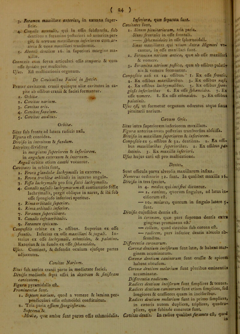 3. Foramen maxillare anterius^ cxteina fuper- ficie. 4. Canalis mentalis, qui in oflls fubftantia, fub dentibus a foiamine pofteiiori ad-anterius per- git, & nervum maxillarem hsferiorem cum ar- teria & vena maxillari tranfmittit. 5. Alveoli dentium 16. in fuperiori margine raa- xillte, Connexio cum fovea articulari offis temporis & cura offe hyoideo per mufculos. TJJus. Eft mafticationis organum. jye Cavitatibus Faciei^ in fpecie. Praeter cavitatem cranii quinque aliae cavitates in ca- pite ab offibus cranii & faciei formantur. 1. Orbitee 2. Cavitas narium. 3. Cavitas oris. 4. Cavitas faucium. 5. Cavitas auditus. Orbitee. Situs fub fronte ad latera radicis nafi. Figura eft conoidea. Divifo in introitum fundum. Introitus dividitur in marginem fuperiorem & inferiorem. in angulum externum & internum. Anguli orbitae etiam canthi vocantur. Cavitates in orbita funt, j. Fovea glandulee lachrymalis in externo. 2. Fovea trochlea orbitalis in interno angulo. 3. Fojfa lachrymalis pro litu facci lachrymalis, 4. Canalis nafalis lachrymarum eft continuatio fblTae lachrymalis, pergit oblique in nares, & ibi fub olfe fpongiofo inferiori aperitur. 5. Fima orbitalis fuperior. 6. Rima orbitalis inferior. 7. Foramen fuperciliare. 8. Canalis infraorbitalis, 9. Foramen opticum. Compofitio orbitae ex 7. offibus. Superius ex olTe frontis. Inferius ex offe maxillari & jugali. In- terius ex offe lachrymali, ethmoideo, & palatino. Exterius & in fundo ex offe fpheenoideo, Vfus. Continet, & defendit oculum ejufque partes adjacentes. Cavitas Narium. Situs fub antica cranii parte in medietate faciei. Divifio mediante fepti offei in dextram & finijlram cavitatem. Figura pyramidalis eft.. Prominentia funt. 1. Septum narium, quod a vomere & lamina per- pendiculari offis ethmoidei conftituitur. %. Tria, paria ojfum fpongioforum. Suprema & 'Medigf qua ambae funt partes offis ethmoidalis. Inferiora, quae feparata funt. Cavitates funt, 1. Sinum pituitariorum, tria paria. Sinus frontales in offe frontali. fphanoidales in offe fphaenoidali. Sinus maxillares qui -etiam Antra Higmori vo ^ , cantur, in offe maxillari funt. tifj^ 2. Foramina nariam antica, quae ab offe maxillari & vomere. 3. Foramina narium pojlica, quae ab offibus palatif nis & vomere formantur. Compofitio nafi ex 14. offibus. ‘ l. Ex offe frontis, z. Ex offibus maxillaribus. 3. Ex offibus nafi', 4. Ex offibus lachrymalibus, 5. Ex offibus fpon~ giofts inferioribus 6. Ex offe fpheenoideo. 7. Ex offe vomere. 8. Ex offe ethmoideo. 9. Ex offibu» palatinis. | Vfus efi, ut formetur organum odoratus atque finu« pituitarii narium. Cavum Oris. Situs Intra fuperiorem inferiorem maxillam. Figura anterius ovata pofterius tranfverfim abfeiffa. Divifio in maxillam fuperiorem & inferiorem. Compofitio tn 5. offibus & 32. dentibus, i. Ex offi- bus maxillaribus fuperioribus. 2. Ex offibus ^4« lalinis. 3. Ex maxilla inferiori. Vfus hujus cavi eft pro mafticatione. Dentes. Sunt officula parva alveolis maxillarum infixa. Numerus ordinarie 32. funt. In qualibet maxilla 16» Divifio in tres fpecies, in 4. medios qui incifivi dicuntur. — 2. caninos, quorum fingulus, ad latus in* cifiorum eft. — IO. molares, quorum in fingulo latere 5. funt. Divifio cujullibet dentis eft. in coronam, quse pars fuprema dentis extri gingivas prominens eft.* — collum, quod circulus fub corona eft. •— radicem, pars inferior dentis alveolo ab* fcondita. Differentia coronarum. Coronee dentium inciforum funt latse, & habent mar- ginem acuminatum. Coronee dentium caninorum funt craffse & apicem habent obtufum. Coronee dentium molarium funt pluribus eminentiis accuminatae. Differentia radicum. Radices dentium inciforum funt fimplices Sc tenues. Radices dentium caninorum funt etiam fimplices, fcd longiores & craffiores quam in inciforibus. Podices dentium molarium funt in primo fimplices, in caeteris autem duplices, triplices, quadru-- plices, quae fubinde concretae funt. Cavitas dentis. In radice qualibet/ern/wM eft, quod