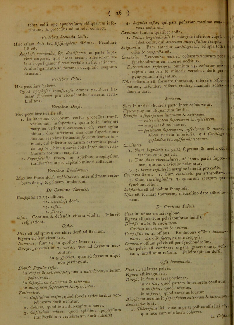 ( »6 ) tebr» colli ope apophyTivun obliquarum infe- rioruiu, Si proceffus odontoiclci cohxret. Vertebra Secunda Colli. Hxc etiam Axis feu Epijlropheus dicitur. Peculiare illi eft. Apophy/ts odontoidea feu dentiformis in parte fupe- riori corporis, qus inira arcum anteriorem at- lantis ope ligamenti tranfverfalis in fitu retinetur, & alio ligamento ad foramen occip>itale magnum firmatur. Vertebra Colli. Hoc peculiare habent. Quod apopbyfes tranfnjerfa omnes peculiare ha- beant foramen pro alcendentibus arteriis verte- bralibus. Vertebra Dorji, Hoc peculiare in illis eft. . . r 1. In lateribus corporum verfus procenus tranl- verfos tam infuperiori, quam & in inferiori margine utrinque excavatio eft, cartilagine obfita ; dua; inferiores una cum fuperioribus- duabus vertebra: fcquentis/at/ea»/ lemper for- mant, cui inferitur coftarum extremitas pofti- ca m^jor; hinc qu?evis cofta inter duo verte- brarum corpora recipitur. 2. Superficialis fovea, in apicibus apophyfium tranfverfarum pro capitulo minori coftarum. Vertebra Lumborum. Maxima fpina: dorfi mobilitas eft inter ultimam verte- bram dorft, & primam lumborum. De Cavitate thoracis. Compofitio ex 3 7- oflibus.^ 12. vertebris dorli. 24. cofiis. I. fierno. Ufus. Continet & defendit vifcera vitalia. Infervit refpirationi. Cofia. Silus eft obliquus a vertebris dorfi ad fternum. Figura eft femicircularis. Numerus ; funt 24. in quolibet latere i 2.. Divifio generalis m 7- 'veras, qute ad fternum nec- tuntur. in ^.fpurias, quae ad fternum ufque non pertingunt. Divi fio Jingula coflcc, _ in corpus Sc extre?nitates, unam anteriorem, alteram pofieriorem. \n fuperficiem externam & internam. in marginem fuperiorem & inferiorem. Eminentia. _ • , -i 1. Capitulum majus, quod foveis articularibus ver- tebrarum dorli neftitur. 2. Collum, quod intra duo capitula haeret. 3. Capitulum minus, quod apicibus apophyfium tranlVerfalium vertebrarum dorfi adhsret. 4. Angulus cofia, qui pars pofterior maxime coa» . 1 vexa cofta: eft. ' | Cavitates funt in qualibet cofta. ^ I. Sulcus longitudinalis in margine inferiore cujuf, .1 libet coftae, qui arteriam intercofialem recipit. Subfiamia. Pars anterior cartilaginea, reliqua tou 1 olfca & compaSa eft. Connexio. Extremitas anterior coftarum verarum per t fynchondrofim cum fterno neftitur. Extremitates pofieriores omnium 24. coftarum ope: capituli majoris & minoris vertebris doifi per r gynglymum alligantur. Ufus coftarum tft formare thoracem, infervire refpi-- rationi, defendere vilcera vitalia, mammis adh« fionem dare. i.£ i.. Sternum. > Silus in antica thoracis parte inter coftas veras. Figura pugioni aliquantum fimilis. Divifio in fuperficiem internam Sc externam. ^ — extremitatem fuperiorem & inferiorem. — margines duos lateres. — portionem fuperiorem, inferiorem^ & appen dicem partem inferioris, qui Cartilago» xyphoidea feu enfiformis vocatur. Cavitates. 1. Sinus jugularis in parte fuprema & media cum trachea contigua eft. . 2. Duo fimus claviculares, ad latera partis fuprC' ma:, quibus clavicula; neftuntur. 3. 7. fovea cofialesm margine laterali pro coftis. Connexio i. Cum claviculis per arthrodiam.. 2. Cum cartilaginibus 7. qoftarum verarum per fynchondrofim. eft admodum fpongiofa. _ Ufus eft formare thoracem, mediaftino dare adhaefio- pi nem. i 'A • I .J il De Cavitate Pelvis. 5;Var in infima trunci regione. ^ . . f Figura aliquantum pelvi tonforiae fimilis. Divifio 'nxalas Isc cavitatem. Cavitas in introitum & exitum. Compofitio ex 4- offibus. Ex duobus offibus mnomi^ natis. Ex olfe facro, ex olfe coccygis. Connexio oflium pelvis eft per fynchondrofim. Ufus pelvis eft continere organa generationis, vefi» cam, inteftinum reftum. Fulcire fpinam dorfi. \ 5 Offa innominata. Situs eft ad latera pelvis. Figura eft irregularis. Diuifio in fa;tu in tres portiones. . in os ilei, quod partem fuperiorem conftituit,, in os ifchii, quod inferius. in os pubis, quod anterius loc.itur. _ Divifio totius olfis \n fuperficiem externam & mtenuwt^ ^”^7!tuherofitas ilei, qua: in parte poftica olfis ilei eft,. quo loco cum olfe lacro coharct. ^ ^ 2.. ‘ .W