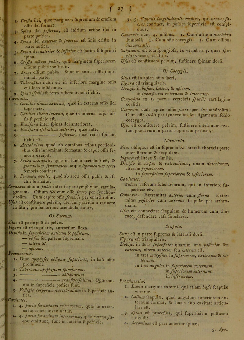 aJi, 0^ ( 1. Crijia Ilei, quae marginem fuprcmum S; cralTum offis ilei format. 3. S^ina ilei poprier, eft initium crifta; ilei in parte poftica, 4. Spina ilei anterior & fnperior cft finis criftse in parte antica. 5. Spina ilei anterior & inferior cft ftatim fub priori fpina. 6. Crijia offium pubis, qure marginem fuperiorcm olfium pubis conftituir. 7. Arcus offium pubis. Sunt in antica offis inno- ^ minati parte. ' 8. T’uleroftas ifchii eft in inferiore margine offis cui loco infidemus. 9. eft retro tubcrofitatem ifchii» Cavitates. 1. Cavitas iliaca externa, quae in externa offis ilei lupcrficie. 2. Cavitas iliaca interna, quse in interna hujus of- fis fuperficie eft. 3. Excifura inter fpinas ilei anteriores. 4. Excifura ifcbiatica anterior, quae ante. 5. pofierior, quae retro fpinam ifchii eft. 6. Acetabulum quod ab omnibus tribus portioni- • bus offis innominati formatur & caput offis fe- moris excipit. 7. fovea acetabuli, quae in fundo acetabuli eft, & glandulum fynovialem atque ligamentum teres femoris continet. 8. Foramen ovale, quod ab arcu offis pubis & if- chii formatur. jijj Connexio o^wxm /«iJn inter fe per fymphyfim cartila- gineam. Offium ilei cum ofle facro per fynchon- drofim. Cum capite offis femoris per enarthrofim, Ufus eft conftituere pelvim, uterum gravidum retinere in litu ; pro femoribus acetabula parare. Os Sacrum. Situs cft parte poftica pelvis. Figura eft triangularis, antrorfum flexa. Divifio in fuperficiem anticam Sc poJUcam, — bafim feu partem fupremam. — latera &* —' apicem. Frominentice. 1. Duae apophyfes obliqua fuperiores, in bafi offis prominent. 2. ‘Fubercula apophyftum fpinofarum. 3. obliquarum 4- — tranfverfaliusn. Quae om- nia in fuperficie poftica funt. $. Vefligia corporum vertebralium in fuperficie an- tica. lii^^Cavitates. 1. 4. paria foraminum externorum, quae in exter- na lupcrricie inveniuntur. z. 4. parta foraminum internorum, quae nervos fa- ctos emittunt, lunt in interna fuperficie. I, flihj iiia fojfl ilii. xiiu \ 27 ) 3. 5. Canalis longitudinalis medius, <\\x\ nervos fa- cros continet, in poftica fuperficie eft coafpi- cuus. Connexio cum 4. offibus, i. Cum ultima vertebra lumbali. 2. Cum ofle coccygis. 3. Cum olfibus tnnominatis. Suhftantia eft tota fpongiofa, ex vertebris 5. quas fpu- rias vocant, coalitis. Vfus eft conftituere pelvim, fuftinere fpinam dorfi. Os Coccygis, Situs eft in apice offis facri. Figura eft triangularis. Divifio in bafim, latera, & apicem. in fuperficiem externam & internam. Compofitio ex 3. parvis vertebris fpuriis cartilagine coalitis. Connexio cum apice offis facri per fychondrofira. Cum olTe ifchii per fynevrofim feu ligamenta ifohio coccygea. Ufus eft conftituere pelvim, fuftinere inteftinura-rec- tum praecavere in partu rupturam perinaei. Clavicula. Situs obliquus eft in fuprema & laterali thoracis parte inter fternum & fcapulam. Figura eft literaj S. limilis, Divifio in corpus & extremitates, unam Hnteriorem, pofieriorem. in fuperficiem fuperiorem Sc inferiorem. Cavitates. Sulcus vaforum fubclaviorum, qui in inferiore fu- perficie eft. Connexio. Extremitas anterior cum fierno Extre- mitas pofierior cum acromio fcapulae per arthro- diam. ' Ufus eft conneftere fcapulam & humerum cum tho- race, ^defendere vafa fubclavia. Scapula. Situs eft in parte fuprema & laterali dorfi. Figura eft triangularis. Divifio in duas fuperficies quarum una pofierior feu externa, altera anterior feu interna eft. in tres margines in fuperiorem, externum Sc in- ternum. in tres angulos in fuperiorem externum. in fuperiorem internum'. in inferiorem. Prominentia. 1. Labia marginis externi, qui etiam bafis fcapulae vocatur. 2. Collum fcapulte, quod angulum fuperiorem ex- ternum format, & locus fub cavitate articu- lari eft. 3. Spina cft proceflus, qui fuperficiem pofticam ' dividit. 4. Acromium eft pars anterior fpinae. 5. Abo.