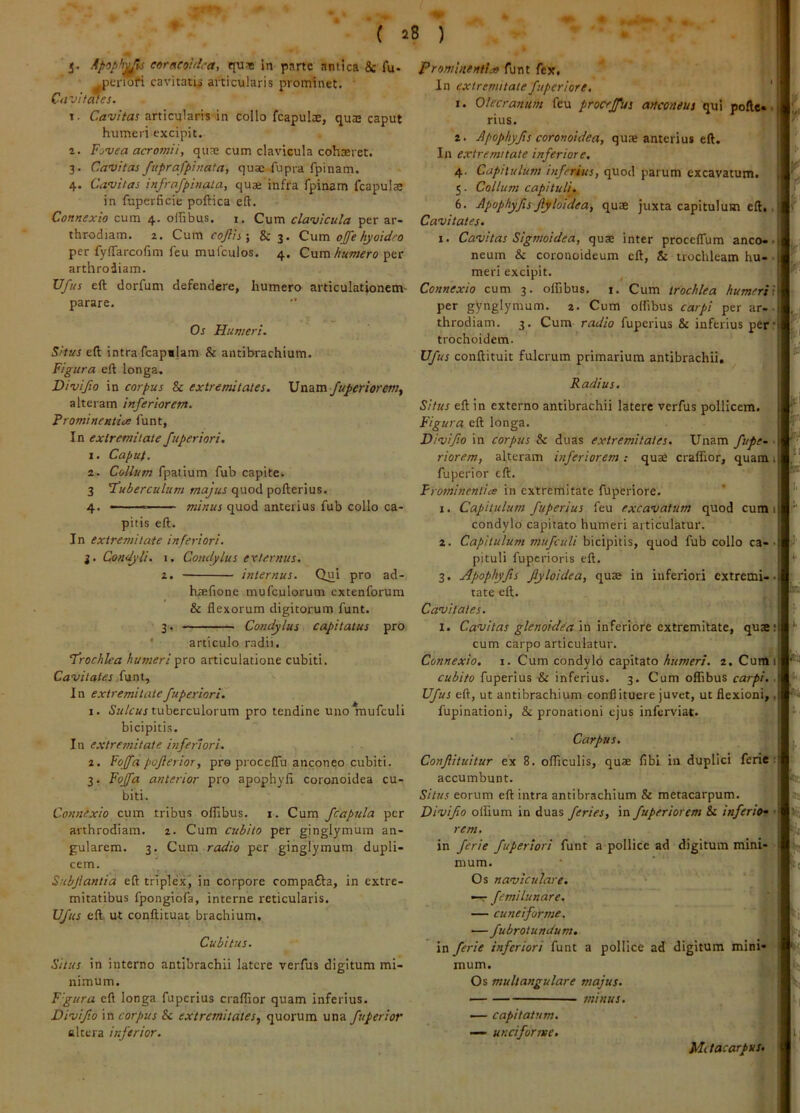 pcriofi cavitatis articularis prominet, Citvit^es. t. CflwVar articularis'in collo fcapuls, quaj caput humeri excipit, a. Fi-vea acromii, qua; cum clavicula cohaeret. 3. Cavitas f \tprafpinaia, q u ae -fu p ra fp i n a m. 4. Cavitas infrafpinata, qua; infra fpinam fcapulae in fupcrficie poftica eft. Connexio cum 4. offibus. i. Cum clavicula per ar- throdiam. 2. Cum coflis\ & 3. Cum ojfe hyoidro per fyffarcofim feu muiculos. 4, Cum per arthrodiam. Ufus eft dorfum defendere, humero articulationem- parare. Os Humeri. Situs intra fcap«}am & antibrachium. Figura eft longa. Divijio in corpus & extremitates. Cccixa-Juperiorem^ alteram inferiorem. Frominentice funt, In extremitate fuperiori. 1. Caput. 2. Collum fpatium fub capite. 3 quod pofterius. 4, quod anterius fub collo ca- pitis eft. In extremitate inferiori. j. Condyli, i. Condylus externus. 2. internus. Qui pro ad- hrefione mufculorum cxtenforum & flexorum digitorum funt. 3, Condylus capitatus pro ' articulo radii. ‘trochlea humeri pro articulatione cubiti. Cavitates funt. In extremitate fuperiori. 1. tuberculorum pro tendine unoinufculi bicipitis. In e.xtretnitate inferiori. 2. Foffa pojlerior, pre proceflu anconeo cubiti. 3. Fojfa anterior pro apophyfi coronoidea cu- biti. Connexio cum tribus oflibus, i. Cum fcapula per arthrodiam. 2. Cum cubito per ginglymum an- gularem. 3, Cum radio per ginglymum dupli- cem. Subjiantia eft triplex^ in corpore compafta, in extre- mitatibus fpongiofa, interne reticularis. Ufus eft. ut conftituat brachium. Cubitus. Situs in interno antibrachii latere verfus digitum mi- nimum. Fgura eft longa fuperius craflior quam inferius. Divifio in corpus Sc extremitates^ quorum una fuperior altera inferior. In extremitate fuperiore, ' 1. Olecranum feu proceffus anconeus qui polle.. rius. 2. Apophyfis coronoidea, qus anterius eft. U In extremitate inferiore. u 4. Capitulum inferius, quod parum excavatum. 5. Collum capituli. 6. Apophyfis fiyloidea, quae juxta capitulum eft,, Cavitates. I. Cavitas Sigmoidea, quae inter procclTum anco», neum & coronoideum eft, & trochleam hu-. meri excipit, ^ Connexio cum 3. olflbus. i. Cum trochlea humeri\ per gynglymum. z. Cum offibus carpi per ar-• throdiam. 3, Cum radio fuperius & inferius per: trochoidem. Ufus conftituit fulcrum primarium antibrachii, ; r-' Radius. Situs eft in externo antibrachii latere verfus pollicem. Figura eft longa. Divifio in corpus 8c duas extremitates. Unam fufe- • riorem, alteram inferiorem: quae craflior, quami fuperior eft. ;; Frominenties in extremitate fuperiore, 1. Capitulum fuperius feu excavatum quod cum 1 condylo capitato humeri articulatur. 2. Capitulum mufculi bicipitis, quod fub collo ca-> pituli fuperioris eft. . . 3. Apophyfis fiyloidea, quae in inferiori extremi». tate eft. Cavitates. I. Cavitas glenoidea \n in^enoTt quae: cum carpo articulatur. Connexio, i. Cum condylb capitato humeri. 2, Cumi cubito fuperius & inferius, 3. Cum offibus carpi. ■ Ufus eft, ut antibrachium conflituere juvet, ut flexioni,, fupinationi, & pronationi ejus inferviat. ^, •H-i • Carpus. jh Confiituitur ex 8. officulis, quae libi in duplici ferie : accumbunt. j Situs eorum eft intra antibrachium & metacarpum, Divifio offium in duas feries, in fuperiorem Sc inferio» • rem. in ferie fuperiori funt a pollice ad digitum mini- mum. • Os naviculare. ,. —r femilunare. — cuneiforme. (‘ —fubrotundum, in ferie inferiori funt a pollice ad digitum mini- mum. Os multangulare majus. — minus. — capitatum. » uKciforme. ® Mttacarpus.