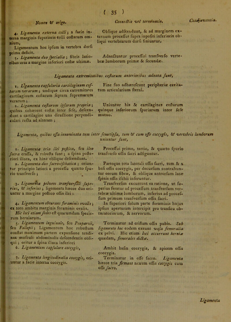 Homen (sf origo» 4. Ligamenta externa colli; a facie in- terna marginis fuperioris colli collarum om- nium, Ligamentum hoc ipfum in vertebra dora prima dehcit. 5. Ligamenta duo /pedalia ; fibris latio- ribus orta a margine inferiori collae ultimae. ( 35 ) Conne£iio Del terminatio. Oblique adfcendunt, & ad marginem ex- ternum procelTus fupra inpofiti inferioris ob- liqui vertebrarum dorfi finiuntur, ' Adne£luntur procelTui tranfveifo verte- brae lumborum primae & fecundae. Coadjuvantia. Ligamenta extremitatibus cojiarum anterioribus adnata funt, 1. Ligamenta capfularia cartilaginum cof- tarum verarum ; undique circa extremitates cartilaginum collarum feptem fupremarum verarum; 2. Ligamenta cojiarum ipfarum propria; quibus cohaerent collae inter fefe, defeen- dunt a cartilagine una dire£lione perpendi- culari refta ad alteram •, Fine fuo adhaerefeunt peripheriae cavita- tum articularium llerni. Uniuntur his & cartilagines collarum quinque inferiorum fpuriarum inter fefe mutuo. ■jt ■*c Ligamenta, quibus ojfa innominata tum inter femetipfa, tum cum ojfe coccygis, vertebris lumborum uniuntur funt. t. Ligamenta tria ilei pojiica, feu ileo /aera cralTa, & robulla funt; a fpina polle- riori iliaca, ex hinc oblique defeendunt. 2. Ligamenta duo facro-ifchatica ; oriun- tur principio latiori a procelfu quarto fpu- rio tranfveifo ; 3. Ligamenta pelveos tranfverjali fupe- rius, (sf inferius ; ligamenta haecce duo ori- untur a margine poftico offis ilei r 4. Ligamentum obturans foraminis ovalis; ex toto ambitu marginis foraminis ovalis. Hic loci etiam /edes ell quarumdam fpecie- rum herniarum. 5. Ligamentum inguinale, feu Poupartii, feu Fallopii-, Ligamentum hoc robullum conllat maximam partem expanfione tendi- nea mufculi abdominalis defeendentis obli- qui ; oritur a fpina iliaca inferiori 6. Ligamentum capfulare coccygis, 7. Ligamenta longitudinalia coccygis, ori- untur a facie interna coccygis. ProcelTui primo, tertio, & quarto fpurio tranfverfo offis facri adfiguntur. Parteque tota laterali offis facri, tum & a bafi offis coccygis, per decurfum contrahun- tur eorum fibrae, & oblique antrorfum latae fpinis offis ifchii inferuntur. Tranfverlim excurrunt ea ratione, ut fu- perius feratur ad procelTum tranfverfum ver- tebrae ultimae lumborum, inferius ad procef- fum primum tranfverfum offis facri. In fuperiori folum parte foraminis hujus ipfius aperturam intercipit pro tranfuu ob- turatoriorum, & nervorum. Terminatur ad criftam offis pubis. Sub ligamento hoc eodem exeunt vafa femoralia ex pelvi. Hic etiam loci occurrunt hernia quaidam, femorales di£ia. Ambit bafin coccygis, & apicem offis coccygis. Terminatur in olTe facro. Ligamenta haecce tria firmant nexum offis coccygis cum offe facro. 4 *