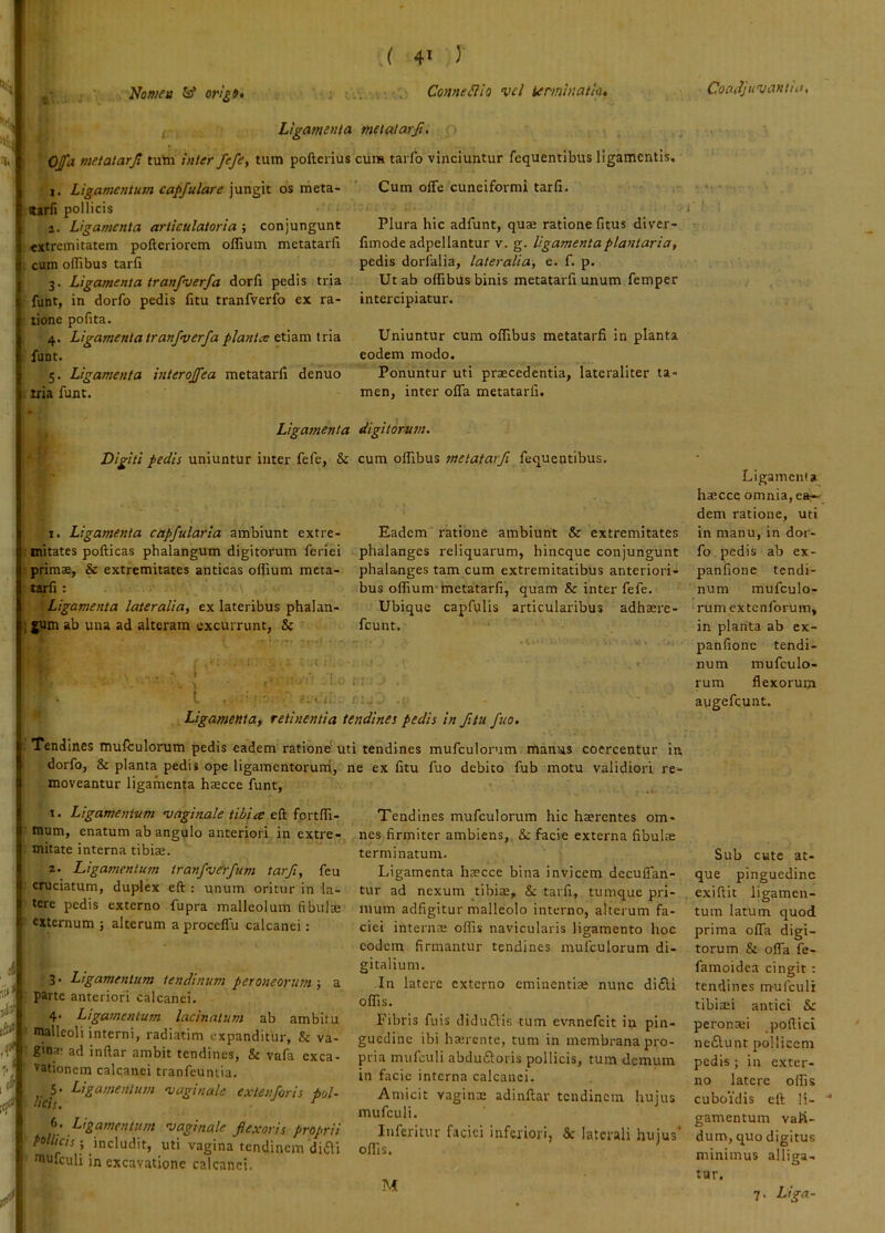 ,^/j, - ^ origf* ^ ; Ligamenta OJfa metalarfi tutn inter fefe, tum poftciius I. Ligamentum capfulare jungit os meta- ttarfi pollicis 1. Ligamenta artieulatoria ; conjungunt extremitatem pofteriorem offium metatarfi cum oflibus tarfi 3. Ligamenta tranfverfa dorfi pedis tria funt, in dorfo pedis litu tranfverfo ex ra- tione pofita. 4. Ligamenta tranfverfa planta etiam iria funt. 5. Ligamenta interoffea metatarli denuo tria funt. .( 41 J , ConnePiio vel ter/ninatia, metat arf. cum tarfo vinciuntur fequentibus ligamentis. Cum olTe cuneiformi tarfi. Plura hic adfunt, quse ratione fitus diver- fimode adpellantur v. g. ligamenta plantaria, pedis dorfalia, lateralia, e. f. p. Ut ab oflibus binis metatarfi unum femper intercipiatur. Uniuntur cum oflibus metatarfi in planta eodem modo. Ponuntur uti praecedentia, lateraliter ta- men, inter ofla metatarfi. Ligamenta digitorum. Digiti pedis uniuntur inter fefe, & cum olfibus 7netatarfi fequentibus. I. Ligamenta capfularla ambiunt extre- : mitates pofticas phalangum digitorum feriei ; primae, & extremitates anticas oflium meta- ■ tarfi : Ligamenta lateralia, ex lateribus phalan- ; jum ab una ad alteram excurrunt, & Eadem ratione ambiunt & extremitates phalanges reliquarum, hineque conjungunt phalanges tam cum extremitatibus anteriori- bus oflium-metatarfi, quam & inter fefe. Ubique capfulis articularibus adhaere- fcunt. 1. Ligamentum vaginale tibia mum, enatum ab angulo anteriori in extre- mitate interna tibiae. 2. Ligamentum tranfverfum tarfi, feu cruciatum, duplex eft : unum oritur in la- tere pedis externo fupra malleolum (ibulse externum ; alterum a procelTu calcanei: 3. Ligamentum tendinum peroneorum ; a parte anteriori calcanei. 4. Ligamentum lacinatum ab ambitu malleoli interni, radiatim expanditur, & va- ginae ad inftar ambit tendines, & vafa exca- vationem calcanei tranfeuntia. ^^5. Ligamentum vaginale extenforis pol- (>• Ligamentum vaginale flexoris proprii M//m ; includit, uti vagina tendinem diai mufculi in excavatione calcanei. Coadjuvantia, Ligamenta, retinentia tendines pedis in fltu fuo. Tendines mulculorum pedis eadem ratione uti tendines mufculorum manus coercentur in, dorfo, & planta pedis ope ligamentorurri, ne ex fitu fuo debito fub motu validiori re- moveantur ligamenta hajcce funt. Tendines mufculorum hic haerentes om- nes firmiter ambiens, & facie externa fibulae terminatum. Ligamenta ha?cce bina invicem decuflan- tur ad nexum tibiae, & tarfi, tumque pri- mum adfigitur malleolo interno, alterum fa- ciei internae offis navicularis ligamento hoc eodem firmantur tendines mufculorum di- gitalium. In latere externo eminentiae nunc di£l:i offis. Fibris fuis didufHs tum evanefeit in pin- guedine ibi hajrcnte, tum in membrana pro- pria mufculi abdudoris pollicis, tum demum in facie interna calcanei. Amicit vaginx adinftar tendinem hujus mufculi. Inferitur faciei infwiori, & laterali hujus' offis. Ligamenta haecce omnia, ear-. dem ratione, uti in manu, in dor- fo, pedis ab ex- panfione tendi- num mufculo- rum extenforum, in planta ab ex- panfione tendi- num mufculo- rum flexorum augefeunt. Sub cute at- que pinguedine exiftit ligamen- tum latum quod prima ofla digi- torum & ofla fe- famoidea cingit: tendines mufculi tibiaei antici & peronxi poflici nedunt polliccnr pedis; in exter- no latere offis cubo‘idis eft li- gamentum vali- dum, quo digitus minimus alliga- tur. M 7. Liga-