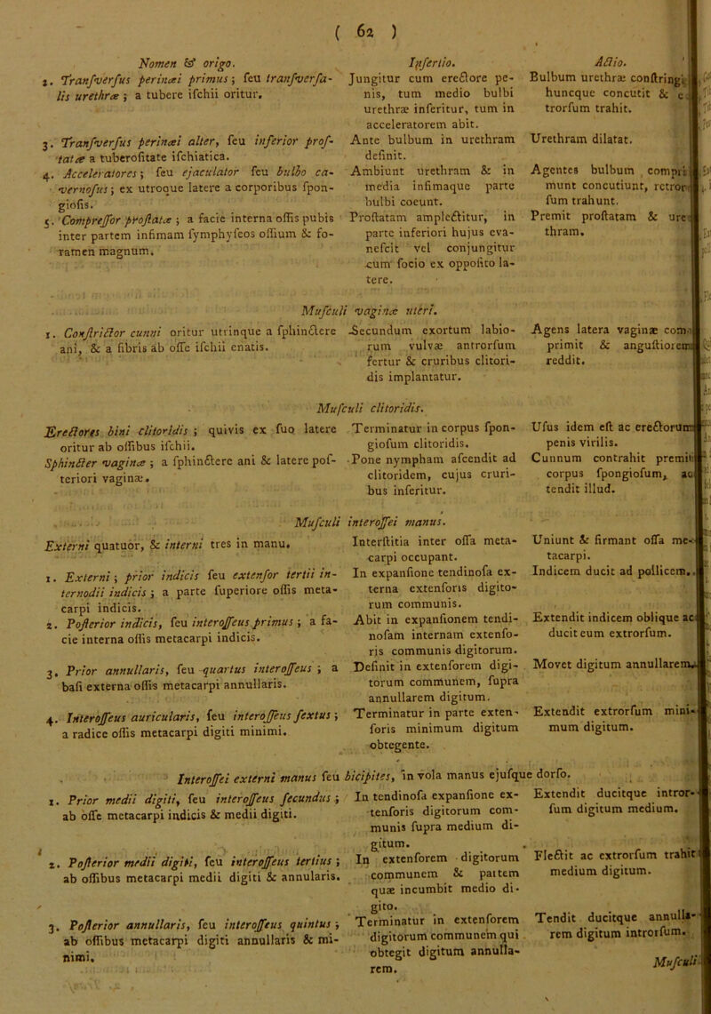 Nomen origo. . ‘Tranfverfus pertnai prtmus ■, iranfverfa- lis urethrce ; a tubere ifchii oritur. 3. Iranfverfus perinai alter, feu inferior prof tata a tuberofitate ifcbiatica. 4. Acceleraiores-, feu ejaculator feu bulho ca~ •vernofus; ex utroque latere a corporibus fpon- giofis. 5. 'Comprejfor proflata ; a facie interna offis pubis inter partem infimam fymphyfeos offium & fo- ramen magnum. Ipfertio. Jungitur cum ereflorc pe- nis, tum medio bulbi urethrae inferitur, tum in acceleratorem abit. Ante bulbum in urethram definit. Ambiunt urethram & in media infimaque parte bulbi coeunt. Proflatam ampleftitur, in parte inferiori hujus eva- nefeit vel conjungitur £um' focio ex oppofito la- tere. Mufculi vagina uteri. ConflriSlor cunni oritur utrinque a fphindere Aecundum exortum labio- ani, & a fibris ab offe ifchii enatis. rum vulvae antrorfum fertur & cruribus clitori- dis implantatur. quivis ex fuo EreSlorts bini clitorleiis ; oritur ab olfibus ifchii. Sphinbler vagina ; a fphinfterc ani & latere pof- teriori vagina. Mufculi clitoridis. latere Terminatur in corpus fpon- giofum clitoridis. Pone nympham afeendit ad clitoridem, cujus cruri- bus inferitur. Mufculi Externi quatuor, & interni tres in manu. 1. Externi; prior indicis feu extenfor tertii in- ternodii indicis j a parte fuperiore offis meta- carpi indicis. 2. Poflerior indicis, interoffeus primus ■, a fa- cie interna offis metacarpi indicis. 3, Prior annullaris, quartus interoffeus \ a bafi externa offis metacarpi annullaris. 4. Interoffeus auricularis, feu interojfeus fextus •, a radice offis metacarpi digiti minimi. Aaio. Bulbum urethrae conftringi^ huneque concutit & c trorfum trahit. Urethram dilatat. T jlit |f(f Agentes bulbum , comprlK^i' munt concutiunt, rctronPi. < fum trahunt, Premit proflatam & ure; thram. m Agens latera vaginae com.il primit & angufliorcnJi(!;i reddit. interoffei manus. Interflitia inter offa meta- carpi occupant. In expanfione tendinofa ex- terna extenfons digito- rum communis. Abit in expanfionem tendi- nofam internam extenfo- ris communis digitorum. Definit in extenforem digi- torum communem, fupra annullarem digitum. Terminatur in parte exten- foris minimum digitum obtegente. Uniunt & firmant offa tacarpi. Indicem ducit ad pollicctn. Movet digitum annullarer Interoffei externi manus feu 1. Prior medii digiti, feu interojfeus fecundus r, ab offe metacarpi indicis & medii digiti. fum digitum medium. 2. Poflerior medii digiti, feu interoffeus tertius; ab olfibus metacarpi medii digiti & annularis. 3. Poflerior annullaris, feu interoffeus quintus ab olfibus metacarpi digiti annullaris & mi- mmt. bicipites, m vola manus ejufque dorfo. In tendinofa expanfione ex- Extendit ducitque intror tenforis digitorum com- munis fupra medium di- g^itum. In extenforem digitorum communem & pattem quse incumbit medio di- gito. * Terminatur in extenforem digitorum communem qui. ' obtegit digitum annulla- rcm. Tendit ducitque annulU- rem digitum introrfum. Fi* Ufus idem eft ac ereftoni_ penis virilis. , ,pAt Cunnum contrahit premiii corpus fpongiofum^ a tendit illud. kli Extendit indicem oblique acJ ducit eum extrorfum. Extendit extrorfum mim*l mum digitum. Fleftit ac extrorfum trahit j medium digitum. Mufculi \