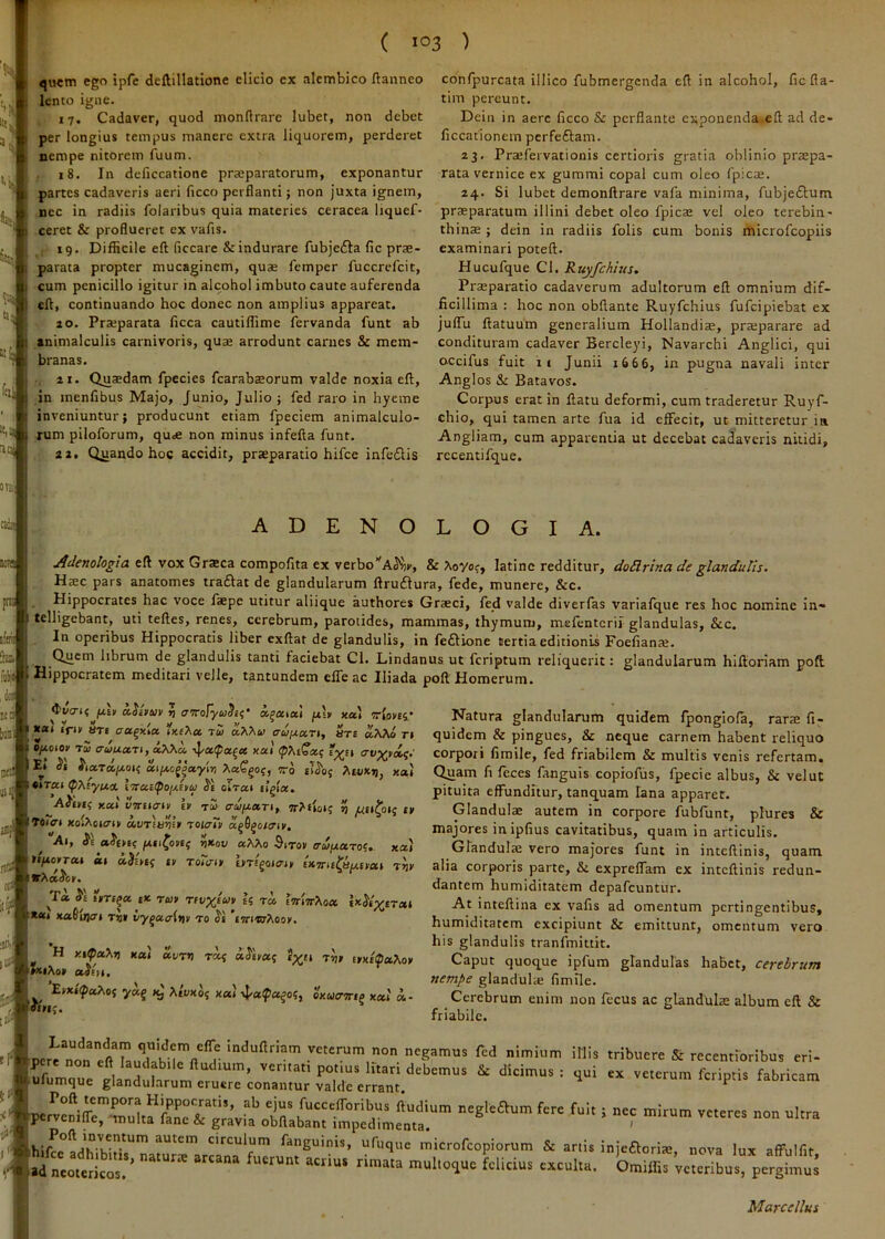 flvwm ego ipfe deftillatione elicio ex alembico flanneo lento igne. 17. Cadaver, quod mondrarc lubet, non debet per longius tempus manere extra liquorem, perderet nempe nitorem fuum. 18. In deficcatione prccparatorum, exponantur partes cadaveris aeri ficco perflanti; non juxta ignem, nec in radiis folaribus quia materies ceracea liquef- ceret & proflueret ex vafis. 19. Difficile eft ficcare & indurare fubje£la fic prae- parata propter mucaginem, quae femper fuccrefcit, cum penicillo igitur in alcohol imbuto caute auferenda eft, continuando hoc donec non amplius appareat. io. Praeparata licca cautiffime fervanda funt ab animalculis carnivoris, quae arrodunt carnes & mem- branas. ai. Quaedam fpecies fcarabaeorum valde noxia eft, in menfibus Majo, Junio, Julio j fed raro in hyeme inveniuntur; producunt etiam fpeciem animalculo- rum piloforum, quae non minus infefta funt. 22. Qjaando hoc accidit, praeparatio hifce infeflis confpurcata illico fubmergenda eft in alcohol, ficfla- tim pereunt. Dein in aere licco & perflante exponenda.eft ad de- ficcationem perfeftam. 23. Praefervationis certioris gratia oblinio praepa- rata vernice ex gummi copal cum oleo fpicae. 24. Si lubet demonftrare vafa minima, fubjeftum praeparatum illini debet oleo fpicae vel oleo terebin- thinae ; dein in radiis folis cum bonis microfeopiis examinari poteft. Hucufque Cl. Ruyfchius. Praeparatio cadaverum adultorum eft omnium dif- ficillima : hoc non obftante Ruyfchius fufeipiebat ex julTu ftatuum generalium Hollandiae, praeparare ad condituram cadaver Bercleyi, Navarchi Anglici, qui occifus fuit II Junii 1666, in pugna navali inter Anglos & Batavos. Corpus erat in ftatu deformi, cum traderetur Ruyf- chio, qui tamen arte fua id effecit, ut mitteretur in Angliam, cum apparentia ut decebat cadaveris nitidi, rccentifque. ADENOLOGIA. eft vox Graeca compofita ex verbo’^A^^i>, & Aoyof, latine redditur, doSlrina de glandulis• Haec pars anatomes tradiat de glandularum ftrudiura, fede, munere, &c. Hippocrates hac voce faepe utitur aliique authores Graeci, fed valde diverfas variafque res hoc nomine In« telligebant, uti teftes, renes, cerebrum, parotides, mammas, thymum, mefenterii glandulas, &c. In operibus Hippocratis liber exftat de glandulis, in feaione tertia editionis Foefiante. Quem librum de glandulis tanti faciebat Cl. Lindanus ut feriptum reliquerit: glandularum hiftoriam poft Hippocratem meditari velle, tantundem effe ac Iliada poft Homerum. divtru //,iy ceSmuv ri ju'» nctl iripyti’ tcat tfiy HTc aa^xicc IkcXu tw esuificprt, ars «XAo n C/4010V TU cuuccTi, «AXa xai fpj-n a-v^tdi;,' E» St ai/Aoggayin ?ro eiSof Atvxjj, xai ttreci (p^iyiAo, \'7rat(pojxttu olrai AStyif Kccl VTmaiy h tcp t» fdifft xo^^e^^7■^^ uvriumt rousTv a^Q^otiriy, Ai, Ss aS(yt( /xti^oyif Jjxov aMo Sitov ertifxaro‘. xaj UfipyTui ai oiSiyti; ty Toiaiy hri^aiaiy Umittiuiyai rir T« tyrt^a. tK ruy rfvxi‘^> U ra, WiirXox USt^ercci *«» xaSiqat rrji ly^aciriy ro 5'i 'ittiwAoo». ^ H y.ifxXy) Ha.) uvrf) aStya^ tv» nu\oy aSiii, ErxiipaAot Ai'yxo{ x«i 4-«ip«^o5, oxuo-ttip xal a,- Natura glandularum quidem fpongiofa, rarae fi- quidem & pingues, & neque carnem habent reliquo corpori fimile, fed friabilem & multis venis refertam. C^am fi feces fanguis copiofus, fpecie albus, & vel ut pituita effunditur, tanquam lana apparet. Glandulae autem in corpore fubfunt, plures & majores inipfius cavitatibus, quam in articulis. Glandulae vero majores funt in inteftinis, quam alia corporis parte, & expreffam ex inteftinis redun- dantem humiditatem depafcuntur. At inteftina ex vafis ad omentum pertingentibus, humiditatem excipiunt & emittunt, omentum vero his glandulis tranfmittit. Caput quoque ipfum glandulas habet, cerebrum nempe glandulae fimile. Cerebrum enim non fccus ac glandulae album eft & friabile. P.r^”not.flT.rabr<l‘i' ;«<luHri.m merum non negamus fed nimium illi, tribuere & reeentrotibu, eri- ufumgue glandularum et.;rio:rmr\'.trem„‘‘''‘'“’ ^ —■>»» ihilbe autem circulum fanguinis, ufuque microfeopiorum & artis inieftorim, nova lux alfullit “Lticr   O-iffis «mrlSusrpergil: Marcellus