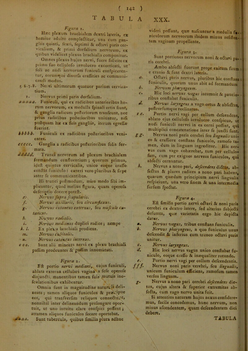 tabula XXX. Figura I. IIcCc plexum brachialeni dextri lateris^ cx homine adulto compleflitur, una cum gan- gliis quinti, lexti, ieptimi & oftavi paris cer- vicalium, & primi dorfalium nervorum, ex quibus videlicet plexus brachialis componitur. Omnes plexus hujus nervi, fuere foliciteex piimo luo cellulofo involucro excorticati, ut* Ibli ac nudi nervorum funiculi conlpiceren- tur, corumque diverfa craflities ac communi- candi modus. ,5 6.7.8. Neivi ultimorum quatuor parium cervica- tium. 1. Nervus primi paris dorfalium. aaaaa. Funiculi, qui ex radicibus anterioribus ho- rum nervorum, ex medulla fpinali ortis fiunt, & ganglia radicum pofteriorum tranfcunt, nec prius radicibus pofteiioribus uniuntur, nifi poftquam hae ex fuis gangliis, iterum egrelfae fuerint. hbbbb- Funiculi ex radicibus pofterioribus veni- entes. €cccc. Ganglia a radicibus pofterioribus folis for- mata. ddddd. Trunci nervorum ad plexum brachialem formandum confluentium j quorum primus, ideft quintus cervicalis, unico eoque craflTo conflat funiculo : caeteri vero pluribus & fiupe inter fe communicantibus. Hi trunci poftmodum, miro modo fibi im- plicantor, quod melius figura, quam operofa defcriptio docere potefl. e> Nervus fupra /capularis^ f. Nervus axillaris, feu circumflexus. g. Nervus cutaneus externus, feu mufculo cu- tantjes. h. Neyvus radialis. i. Nervcfs medianus Tzdicf, nempe k. /. Ex plexu brachiali prodiens. m. Nervus cuJ>italis, • w. Nervus cutarifus internus, 000. Sunt alii minores nervi ex plexu brachiali pafiim prodeuntes & |?affim innominati. Figura 2. Fft portio nervi mediant,, cujus funiculi, ablata externa cellulari vagina'» fele opcrofe disjunfii, manentibus tamen fuis mutuis ino- fculationlbus exhibentur. v Omnia funt in magnitudine naturali deli- Beata ; tamen aliquos funiculos & prae^'?^^ cos, qui tranfverfim reliquos conne61u.it» nonnihil inter delineandum prolongare opor- tuit, ut uno intuitu clare confpici poffent; attamen aliquos funiculos fccare oportebat. (taaa. Sunt tubercula, quibus fimiliaplura adhuc videri poflTunt, qus nafeuntur a medulla f«.. niculoium nerveorum ibidem minus refiflen.. tem vaginam propellente. Figura j. j Sunt portiones nervorum noni & o6tavi pa- .1 ris cerebri. Ambo abfeAi fuerunt prope exitum fuum : e cranio & funt dextri lateris. a. 061avi paris nervus, pluribus hic conflans : funiculis, quorum unus abit ad formandum It. Nervum pharyngeum. j c. Hic loci nervus vagus intumuit & paucio- i ribus conflabat funiculis. d. Nervus laryngeus a vago ortus & abfeftus, poftrorfumque reclinatus. e e. Portio nervi vagi per collum defeendens, ablato ejus cellulofo involucro confpicua, ut nudi funiculi nervei in ea cerni polfint, qui multiplici concatenatione inter fe jundi funt. g g. Nervus noni paris cerebri feu lingualis co & cralfiore conflans funiculo, ramofo ta- men, dum in linguam ingreditur. Hic ner- vus cum vago cohaerebat, tum per cellulo- fam, cum per exiguos nerveos funiculos, qui abfefti cernuntur. h. Nervus a nono pari, defeendens diftus, ab- feftus 8c plures radices a nono pari habens, quarum quaedam principium nervi lingualis refpiciunt, una vero finem & una intermedia furfum fpeftat. Figura 4. , Eli fimilis portio nervi oAavi & noni paris cerebri ex dextro latere, fed alterius fubjeili defumta, quae varietatis ergo hic depiita datur. *. Nervus vagus, tribus conflans funiculis, b. Nervus pharyngeus, a quo funiculus unus i defeendit & inferius ^um trunco o6tavi paris < unitur. ' c. Nervus laryngeus. d. Hic loci nervus vagus unico conflabat fu- \ niculo, eoque craflb & inaequaliter rotundo. e. Portio nervi vagi per collum defeendentis. \ ///■ Nervus noni paris cerebri, feu lingualis, \ unicum funiculum efficiens, ramofum tamen verfus linguam. ; g. Nervus a nono pari cerebri dic- 1 tus, cujus altera & fuperior extremitas ab- ' fefta, cum vago nervo unita fuit. Si attentius naturam hujus nexus confidere- mus, facile concedemus, hunc nervum, non ! minus afeendentem, quam defeendentem dici debere.