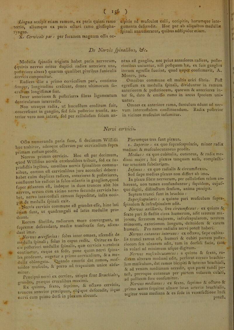 9 ( ) •Lingua accipit etiam ramum, ex paris quinti ramo tertio, aliumque ex paris oftavi ramo gloffopha- ryngeo. X. Cervicale par ; per foramen magnum offis oc- cipitis ad mufculos colli, occipitis, horumque inte- gumenta defccndit. Hoc par ab aliquibus medullae fpinali annumeratur, quibus adftipulor etiam. De Nervis /pinalibus, tslc. /Medulla fpinalis triginta habet paria nervorum, (quivis nervus oritur duplici radice anteriore una, pofteriore altera) quarum quaelibet pluribus funiculis • nerveis componitur. ' Radices illae a primo cervicalium pari, continuo femper, longitudine crefeunt, donec ultimorum fa- cralium longiffimae fint. Inter anteriores & pofteriores fibras ligamentum -> denticulatum intercedit. Non utraque radix, ut hucufdum creditum fuit, concrefeunt in ganglio, fed fola pofterior tranfit, an- terior vero non intrat, ,fed per cellulofam folum an- nexa efl; ganglio, nec prius anteriores^ radices, poflc- rioribus uniuntur, nifi poftquam has, ex fuis gangliis iterum egrelTae fuerint, quod nuper confirmavit, A. Monro, jun. Omnibus commune eft multis oriri fibris. Poft egreflum ex medulla fpinali, dividuntur in ramum anteriorem & pofteriorem, quorum & anteriores in- ter fe, dato & emiffo ramo in arcus fpeciem uni- untur. Omnes ex anteriore ramo, furculum edunt ad ner- vum intercoftalem conftituendum. Radix pofterior in vicinos mufculos infumitur. Nervi cervicis. Ofto numeranda paria funt, fi decimum Willifii huc trahitur, adeoque oftavum par cervicalium fupra primam coftam prodit. Nervus primus cervicis. Hoc eft par decimum, quod Willifius nervis cerebralibus tribuit, fed ex lu- pradiais legibus, omnibus nervis fpinalibus commu- nibus, certum eft cervicalibus jure accenferi debere: habet enim duplices radices, anteriores & pofteriores, confluunt hte radices in fulco atlantis in ganglion,quod fuper atlantem eft, indeque in duos truncos abit hic nervus, arcum cum vicino nervo fecundo cervicis ha- bet, nervo intercoftali ramum fuppeditat, infra occi- put de medulla fpinali exit. rr v.- i • , Nervis cervicis commune eft grandes effe, hinc lati etiam funt, ut quadranguli ad latus medullae pro- deant. Eorum fibrilla, radiorum more convergunt, ut fuprems defeendant, media tranfverfa fint, afeen- dant ima. _ j , .Hervus accejforius: folus inter omnes, afcendit de medulla fpinali; folus in caput redit. Oritur ex fa- cie pofteriori medulla fpinalis, qua cervicis vertebris « continetur, exque ea fede, pone quam nervi fpina- les prodeunt, augetur a ptimo cervicalium, « a me- dulla oblongata. Quando emerfit dat ramos, mal- toideo mufculo, & porro ad trapezium unice ablu- mitur. . . _ Pracipui nervi cx cervice, utique funt Brachiales, crandes, praque cruralibus maximi. _ Ex quinto, fexto, feptimo, & oftavo cervicis, truncus anterior pracipuus, ob|ique defccndit, iique nervi cum primo dorfi in plexum abeunt. Plerumque tres funt plexus. I. Superior ; ex quo fuprafcapularis, minor radix mediani & mufculocutaneus prodit. Medius: ex quo cubitalis, cutaneus, & radix me- diani major; hic plexus tanquam anfa, complefti- tur arteriam fubclavLam. Infimus : ex quo radialis & circumflexus. Sed fape medius plexus non differt ab imo. In plexu fibra nervorum, per cellulofam telam co- harent, non tamen confunduntur; fiquidem, cujuf- que digiti, diftinftum fenfum, anima percipit. Septem trunci funt in brachio : Superficapularis ; a quinto pari mufculum fupra-^ fpinalem & infrafpinalem adit. Nervus axillaris, {\yz circumflexus; ex quinto &. fexto pari fe fleftit circa humerum, adit teretem ma- jorem, ferratum majorem, infrafcapularem, teretem minorem, exteriorem longum, deltoidem & cutem humeri. Pro ramo radialis nervi poteft haberi. Nervus cutaneus internus: ex oftavo, fape cubita- lis trunci ramus eft, humeri & cubiti partem pofte- riorem fcu ulnarem adit, tum in dorfali facie, tum- in volari ad minimum ufque digitum. Nervus mufculocutaneus; a quinto & fexto, ra- dicem alteram mediani edit, perforat coraco brachia- lem mufculum, dat ramos bicipiti & interno brachiali, & ad venam medianam accedit, qua parte tundi po- teft, porroque cutaneus per partem volarem cubiti, ad pollicem fere confumitur. Nervus medianus : cx fexto, feptimo & o£lavo & primo natus fcquitur ulnare latus arteria: brachialis, tegitur vena mediana ik ea fede in vcna:fc£Uone la;di ® poteft.