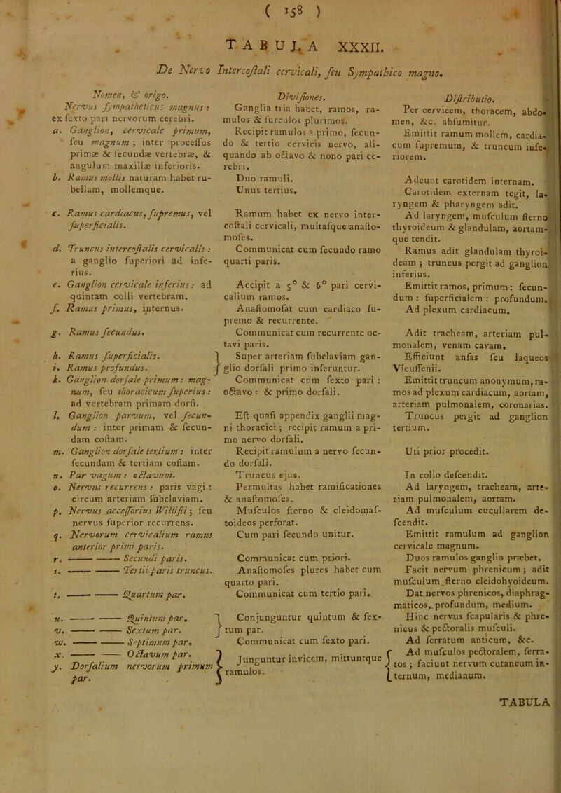 ( ^58 ) T A B U i. A XXXII. . De Nerz o Intcrcojiali cervicali^ feu Sympathico magno» Nomen, origo. Nervus fyvipatheiicus magnus ; ex fexto pari nervorum cerebri. a. Ganglion, cervicale primum, l'eu magnum j inter proceffus primas & fecundae vertebrae, & angulum maxilljE inferioris. b< Ramus mallis naturam habet ru- bellam, mollemque. c. Ramus cardiacus, fupremus, vel Juperjicialis. d. e. T’runcus intercojlalis cervicalis : a ganglio fuperiori ad infe- rius. Ganglion cervicale inferius: ad quintam colli vertebram. Ramus primus, internus. /. g. Ramus fecundus, h. Ramus fuperficialis, i. Ramus profundus. i. Ganglion dorfale pristium; mag- num, feu thoracicum fuperius: ad vertebram primam dorli. Ganglion parvum, vel fecun- dum : inter primam & fecun- dam coftam. Ganglion dorfale terjium ; i nter fecundam & tertiam collam. Par vagum : o Navum. Nervus recurrens ; paris vagi ; circum arteriam fubclaviam. Nervus accefforius Willijii; feu nervus fuperior recurrens. Nervorum cervicalium ramus anterior primi paris. } m r- - ■ —  —- Secundi paris. j. ‘leitiiparis truncus,. /. SjtarUtm par. • ^intum par. •V. Sextum par. w. Septimum par. X. 0 Navum par. } Divijiones. Ganglia tiia habet, ramos, ra- mulos ilr lurculos plurimos. Recipit ramulos a primo, fecun- do & tertio cervicis nervo, ali- quando ab o£tavo & nono pari ce- rebri. Duo ramuli. Unus tertius. Ramum habet ex nervo inter- coftali cervicali, multafque anafto- mofes. Communicat cum fecundo ramo quarti paris. Accipit a 5® & 6° pari cervi- calium ramos. Anaftomofat cum cardiaco fu- premo & recurrente. ' Communicat cum recurrente oc- tavi paris. Super arteriam fubclaviam gan- glio dorfali primo inferuntur. Communicat cum fexto pari : oftavo : & primo dorfali. Eli quafi appendix ganglii mag- ni thoracici; recipit ramum a pri- mo nervo dorfali. Recipit ramulum a nervo fecun- do dorfali. Truncus e]us. Permultas habet ramilicationes & anaftomofes., Mufculos fterno & cleldomaf- toideos perforat. Cum pari fecundo unitur. Communicat cum priori. Anaftomofes plures habet cum quarto pari. Communicat cum tertio pari,. Conjunguntur quintum & fex- tum par. Communicat cum fexto pari. _ , - 1 Junguntur invicem, mittuntque Dorfaltum nervorum primum > par. Diflribulio, Per cervicem, thoracem, abdo- men, &c. abfumitur. Emittit ramum mollem, cardia- cum fupremum, & truncum infe-, riorem. Adeunt carotidem internam. Carotidem externam tegit. Ia- ryngem & pharyngem adit. Ad laryngem, mufculum fterno thyroideum & glandulam, aortam-; que tendit. Ramus adit glandulam thyroi- deam ; truncus pergit ad ganglion inferius. Emittit ramos, primum: fecun- dum; fuperficialem : profundum. Ad plexum cardiacum. Adit tracheam, arteriam pul- monalem, venam cavam. Efficiunt anfas feu laqueos- Vieulfenii. Emittit truncum anony^mum, ra- mos ad plexum cardiacum, aortam, arteriam pulmonalem, coronarias. Truncus pergit ad ganglion tertium. Uti prior procedit. Tn collo defeendit. Ad laryngem, tracheam, arte- riam pulmonalem, aortam. Ad mufculunr cucullarem de- feendit. Emittit ramulum ad ganglion cervicale magnum. Duos ramulos ganglio praebet. Facit nervum phrenicum j adit mufculum.fterno cleidohyoideum. Dat nervos phrenicos, diaphrag- maticos,, profundum, medium. Hinc nervus fcapularis & phre- nicus & peftoralis mufculi. Ad ferratum anticum, &c. {Ad mufculos pc£l:oralem, ferra- tos ; faciunt nervum cutaneum in- ternum, medianum.