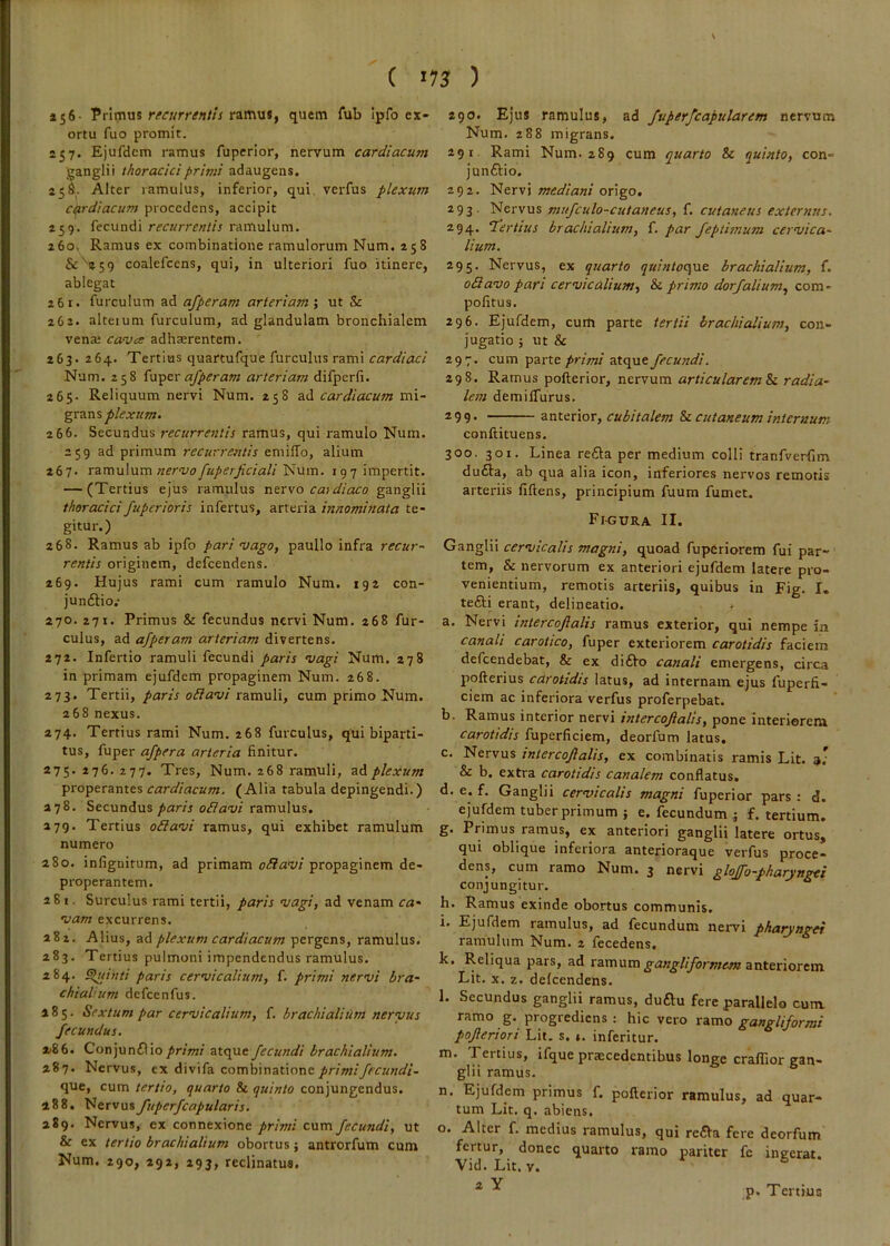 V ( ^73 ) 156- Pvmvi rfcurreniis tzmuSf quem fub Ipfo ex- ortu fuo promit. 257. Ejufdcm ramus fuperior, nervum cardiacum Vanglii thoracici primi adaugens. 258. Alter ramulus, inferior, qui, verfus plexum cardiacum procedens, accipit 259. fecundi recurrentis ramulum. 260. Ramus ex combinatione ramulorum Num. 258 coalefcens, qui, in ulteriori fuo itinere, ablegat 261* furculum ad afperam arteriam', ut & 262. alteium furculum, ad glandulam bronchialem venai cavee adhaerentem. 263. 264. Tertius quartufque furculus rami cardiaci Num. 258 afperam arteriam difperfi. 265- Reliquum nervi Num. 258 ad cardiacum mi- grans 266. Secundus recurrentis ramus, qui ramulo Num. 259 ad primum recurrentis emiffo, alium 267. ramulum «er-uo/a/fr/r/a//Num. 197 impertit. — (Tertius ejus ramulus ntrvo eat diaco ganglii thoracici fuperioris infertus, arteria innominata te- gitur.) 268. Ramus ab ipfo pari mago, paullo infra recur~ rentis originem, defeendens. 269. Hujus rami cum ramulo Num. 192 con- junftio.- 270. 271. Primus & fecundus nervi Num. 268 fur- culus, ad afperam arteriam divertens. 272. Infertio ramuli fecundi paris magi Num. 278 in primam ejufdem propaginem Num. 268. 273. Tertii, paris oflami ramuli, cum primo Num. 268 nexus. 274. Tertius rami Num. 268 furculus, qui biparti- tus, fuper afpera arteria finitur. 275. 276. 277. Tres, Num. 268 ramuli, zAplexum properantes cardiacum. (Alia tabula depingendi.) 278. Secundus paris oRami ramulus. 279. Tertius oRami ramus, qui exhibet ramulum numero 280. infignirum, ad primam oifFai;/propaginem de- properantem. 281. Surculus rami tertii, paris magi, ad venam ca' mam excurrens. 282. Alius, ad plexum cardiacum pergens, ramulus. 283. Tertius pulmoni impendendus ramulus. 284. Sluinti paris cermicalium, f. primi nermi bra- chialium defcenfus. 285. Sextum par cermicalium, f. brachialium nermus fecundus. 2186. Conjunilio primi atque fecundi brachialium. 287. Nervus, cx divifa combinatione/ir/w/yi‘/'K«4/7- que, cum tertio, quarto & quinto conjungendus. 288. Nervusfuperfcapularis. 289. Nervus, ex connexione/rm/ cum fecundi, ut & ex tertio brachialium obortus; antrorfum cum Num. 290, 292, 293, reclinatus. 290. Ejus ramulus, ad fuperfcapularem nervum Num. 288 migrans. 291. Rami Num. 289 cum quarto Sc quinto, con- jun£Ho. 292. Nervi mediani origo. 293. Nervus mufculo-cutaneus, f. cutaneus externus. 294. Tertius brachialium, f. par feptimum cermica~ lium. 295. Nervus, ex quarto quintoopxt brachialium, f. oRamo pari cermicalium, & primo dorfalium, com- politus. 296. Ejufdem, cum parte tertii brachialium, con- jugatio ; ut & 297. cum parte primi atque fecundi. 298. Ramus pofterior, nervum articularem Sc radia- lem demilTurus. 299. anterior, cubitalem 8c cutaneum internum conftituens. 300. 301. Linea reda per medium colli tranfverfim duda, ab qua alia icon, inferiores nervos remoris arteriis fiftens, principium fuum fumet. Figura II. Ganglii cermicalis magni, quoad fuperiorem fui par- tem, & nervorum ex anteriori ejufdem latere pro- venientium, remotis arteriis, quibus in Fig. I. tedi erant, delineatio. a. Nervi intercofialis ramus exterior, qui nempe in canali carotico, fuper exteriorem carotidis faciem defeendebat, & ex dido canali emergens, circa pofterius carotidis latus, ad internam ejus fuperfi- ciem ac inferiora verfus proferpebat. b. Ramus interior nervi intercofialis, pone interiorem carotidis fuperficiem, deorfum latus. c. Nervus intercofialis, ex combinatis ramis Lit. & b. extra carotidis canalem conflatus. d. e. f. Ganglii cermicalis magni fuperior pars: d. ejuWem tuber primum ; e. fecundum j f. tertium. g. Primus ramus, ex anteriori ganglii latere ortus, qui oblique inferiora anterioraque verfus proce- dens, cum ramo Num. 3 nervi gloffo-pharyngei conjungitur. h. Ramus exinde obortus communis. i. Ejufdem ramulus, ad fecundum nervi pharytiget ramulum Num. 2 fecedens. k. Reliqua pars, ad xzvcizva gangliformem anteriorem Lit. X. z. defeendens. l. Secundus ganglii ramus, dudu fere parallelo cura ramo g. progrediens : hic vero ramo gangliformi pofieriori Lit. s. ». inferitur. m. Tertius, ifque praecedentibus longe craffior gan- glii ramus. n. Ejufdem primus f. pofterior ramulus, ad quar- tum Lit. q. abiens, o. Alter f. medius ramulus, qui reda fere deorfum fertur, donec quarto ramo pariter fc ingerat. Vid. Lit. V, 2 Y p. Tertius