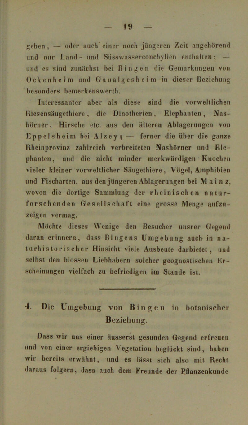 geben, — oder auch einer noch jüngeren Zeit angehörend und nur Land- und Süsswasserconchylien enthalten; — und es sind zunächst bei Hingen die Gemarkungen von Ockenheim und Ganalgesheim in dieser Beziehung besonders bemerkenswert!!. Interessanter aber als diese sind die vorweltlichen Riesensäugethicre, die Dinotherien, Elephanten, Nas- hörner, Hirsche etc. aus den älteren Ablagerungen von Eppelsheim bei Alzey; — ferner die über die ganze Rheinprovinz zahlreich verbreiteten Nashörner und Ele- phanten, und die nicht minder merkwürdigen Knochen vieler kleiner vorweltlicher Säugethiere, Vögel, Amphibien und Fischarten, aus den jüngeren Ablagerungen bei Mainz, wovon die dortige Sammlung der rheinischen natur- forschenden Gesellschaft eine grosse Menge aufzu- zeigen vermag. Möchte dieses Wenige den Besucher unsrer Gegend daran erinnern, dass Bingens Umgehung auch in na- tu rh i s torischer Hinsicht viele Ausbeute darbietet, und selbst den blossen Liebhabern solcher geognostischen Er- scheinungen vielfach zu befriedigen im Stande ist. 4. Die Umgebung von Bingen in botanischer Beziehung. Dass wir uns einer äusserst gesunden Gegend erfreuen und von einer ergiebigen Vegetation beglückt sind, haben wir bereits erwähnt, und es lässt sich also mit Recht daraus folgern, dass auch dem Freunde der Pflanzenkunde