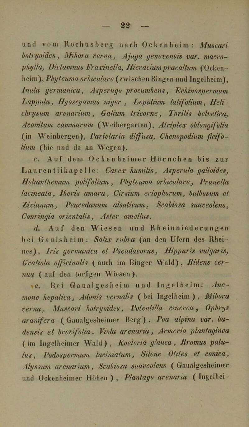 und vom Rochusberg nach Ockenheim: Muscari botryoides, Xtibora verna, Ajuga yenevensis vor. macro- pkylla, Dictamnus Fraxinella, Hieraciumpraealtum (Ocken- heim), Phyteiwia orbiculare (zwischen Bingen und Ingelheim), fmtla germanica, Asperngo procumbens, Echinospermum Lappula, Hyoscyamus niger , Lepidium latifo/ium, Heli- chrysum arenarium, Galium tricorne, Torilis Helvetica, Aconitum cammarum (Weihergarten), Atriplex oblongifolia (in Weinbergen), Pariefaria diffusa, Chenopodium ficif'o- lium (hie und da an Wegen). c. Auf dem Ockenheimer Hörnchen bis zur Lau ren t i ikape 1 le : Car ex humilis, Asperula galioidcs, Helianthemum polifolium, Phyteuma orbiculare, Prunella lacineala, Iberis amara, Cirsium eriophorum, bulbosum et Zizianum, Peucedanum alsaticum, Scabiosa suaveolens, Conringia orientalis, Aster amellus. d. Auf den Wiesen und Rheinniederungen hei Gauls heim: Salix rubra (an den Ufern des Rhei- nes), Iris germanica et Pseudacorus, Hippuris vulgaris, Gratiola officinalis ( auch im Ringer Wald) , ßidens cer- nua ( auf den torfigen Wiesen). \e. Bei Gaualgesheim und Ingelheim: Ane- mone hepatica, Adonis vernalis ( hei Ingelheim ) , Mibora verna, Muscari botryoides, Poteniilla cinerea, Ophrys aranifera (Gaualgesheimer Berg), Poa alpina var. ba- densis et brevifolia, Viola arenaria, Armeria plantagineu (im Ingelheimer Wald), Koelenä glauca, Eromus patu- lus, Podospermum laciniatum, Silene Otites et comca, Alyssum arenarium, Scabiosa suaveolens ( Gaualgesheimer und Ockenheimer Höhen ) , Plantago arenaria ( Ingelhei-