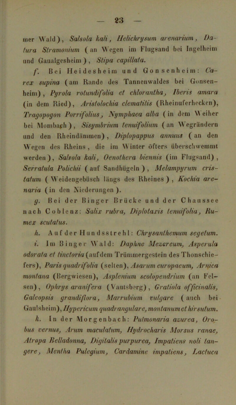 mer Wald), Sa/sola ka/i, Helichrysum arenarium, Da- tura Stramonium ( an Wegen im Flugsand bei Ingelheim und Gaualgesheim ) , Stipa capillata. f. Bei H e i d e s h e i in und Gonsenheim: Ca- rex supina (am Rande des Tannenwaldes bei Gonsen- heim) , Pyrola rotundifolia et chlorantha, Iberis amara (in dem Ried), Aristolochin ctemafitis (Rheinuferhecken), Tragopogon Porrifoliiis, Nymphaea alba (in dem \\ eiher bei Ylombaph ) , Sisymbrium tenuifolinm ( an Wegrändern und den Rheindämmen), Diplopappus annuus (an den Wegen des Rheins , die im NY inter öfters überschwemmt werden), Salsola Kali, Oenothera biennis (im Flugsand), Serratula Polichii (auf Sandhügeln), Melampyrum cris- tatum ( Weidengebüsch längs des Rheines), Koc/tia are- naria (in den Niederungen ). g. Hei der ß i n g e r Brücke und der Chaussee nach C ob lenz: Salix rubra, Diplotaxis lenuifoliu, Hu- mex scutatus. h. AufdcrHunds8trehl: Chrysanthemum segetum. i. Im B inger NVaI d: Daphne Mezereum, Asperula odorata et tinctoria (auf dem Trümmergestein des Thonschie- fers), Paris quadrifolia (selten), Asarum europaeum, Arnica montana (Bergwiesen), Asplenium scotopendrium (an Fel- sen), Ophrys aranifera (Vautsberg) , Gratiola ofßcinalis, Galcopsis grandiflora, Marrubium vulgare (auch bei Gaulsheim),Hypericum quadrangulare,montanumethirsutum. k. In der lYforgenbach: Pulmonaria azurea, Oro- bus vernus, Arum maculatum, f/ydrocharis Morsus ranae, Atropa Belladonna, Digitalis purpurea, Impaliens noli tan- gere, Mentha Pulegium, Cardamine impatiens, Lac tue a