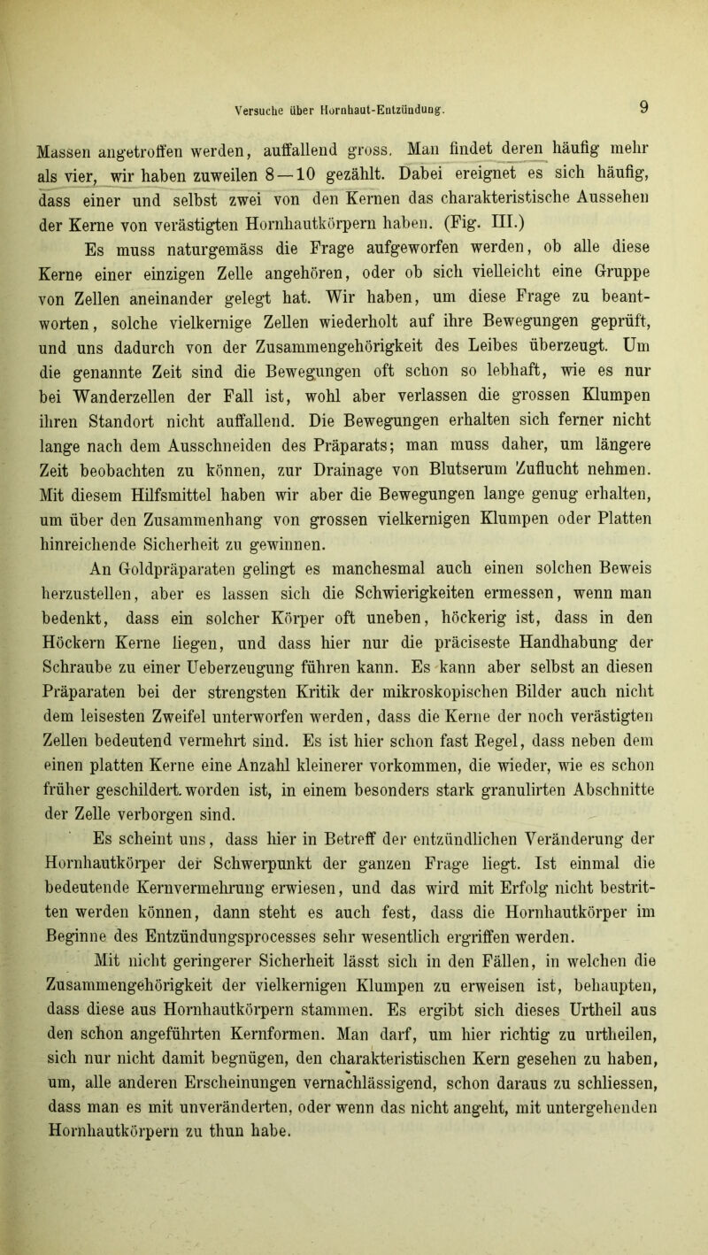 Massen angetroffen werden, auffallend gross, Man findet deren häufig mehr als vier, wir haben zuweilen 8 —10 gezählt. Dabei ereignet es sich häufig, dass einer und selbst zwei von den Kernen das charakteristische Aussehen der Kerne von verästigten Hornhautkörpern haben. (Fig. HI.) Es muss naturgemäss die Frage aufgeworfen werden, ob alle diese Kerne einer einzigen Zelle angehören, oder ob sich vielleicht eine Gruppe von Zellen aneinander gelegt hat. Wir haben, um diese Frage zu beant- worten, solche vielkernige Zellen wiederholt auf ihre Bewegungen geprüft, und uns dadurch von der Zusammengehörigkeit des Leibes überzeugt. Um die genannte Zeit sind die Bewegungen oft schon so lebhaft, wie es nur bei Wanderzellen der Fall ist, wohl aber verlassen die grossen Klumpen ihren Standort nicht auffallend. Die Bewegungen erhalten sich ferner nicht lange nach dem Ausschneiden des Präparats; man muss daher, um längere Zeit beobachten zu können, zur Drainage von Blutserum Zuflucht nehmen. Mit diesem Hilfsmittel haben wir aber die Bewegungen lange genug erhalten, um über den Zusammenhang von grossen vielkernigen Klumpen oder Platten hinreichende Sicherheit zu gewinnen. An Goldpräparaten gelingt es manchesmal auch einen solchen Beweis herzustellen, aber es lassen sich die Schwierigkeiten ermessen, wenn man bedenkt, dass ein solcher Körper oft uneben, höckerig ist, dass in den Höckern Kerne liegen, und dass hier nur die präciseste Handhabung der Schraube zu einer Ueberzeugung führen kann. Es kann aber selbst an diesen Präparaten bei der strengsten Kritik der mikroskopischen Bilder auch nicht dem leisesten Zweifel unterworfen werden, dass die Kerne der noch verästigten Zellen bedeutend vermehrt sind. Es ist hier schon fast Regel, dass neben dem einen platten Kerne eine Anzahl kleinerer Vorkommen, die wieder, wie es schon früher geschildert, worden ist, in einem besonders stark granulirten Abschnitte der Zelle verborgen sind. Es scheint uns, dass hier in Betreff der entzündlichen Veränderung der Hornhautkörper der Schwerpunkt der ganzen Frage liegt. Ist einmal die bedeutende Kernvermehrung erwiesen, und das wird mit Erfolg nicht bestrit- ten werden können, dann steht es auch fest, dass die Hornhautkörper im Beginne des Entzündungsprocesses sehr wesentlich ergriffen werden. Mit nicht geringerer Sicherheit lässt sich in den Fällen, in welchen die Zusammengehörigkeit der vielkernigen Klumpen zu erweisen ist, behaupten, dass diese aus Hornhautkörpern stammen. Es ergibt sich dieses Urtheil aus den schon angeführten Kernformen. Man darf, um hier richtig zu urtheilen, sich nur nicht damit begnügen, den charakteristischen Kern gesehen zu haben, um, alle anderen Erscheinungen vernachlässigend, schon daraus zu schliessen, dass man es mit unveränderten, oder wenn das nicht angeht, mit untergehenden Hornhautkörpern zu thun habe.