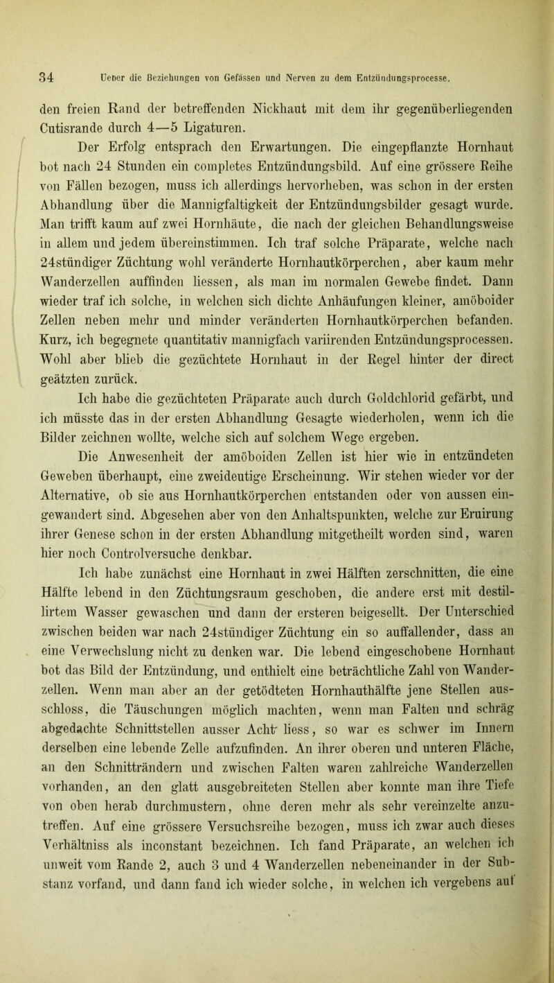 den freien Rand der betreffenden Nickhaut mit dem ihr gegenüberliegenden Cutisrande durch 4—5 Ligaturen. Der Erfolg entsprach den Erwartungen. Die eingepflanzte Hornhaut bot nach 24 Stunden ein completes Entzündungsbild. Auf eine grössere Reihe von Fällen bezogen, muss ich allerdings hervorheben, was schon in der ersten Abhandlung über die Mannigfaltigkeit der Entzündungsbilder gesagt wurde. Man trifft kaum auf zwei Hornhäute, die nach der gleichen Behandlungsweise in allem und jedem übereinstimmen. Ich traf solche Präparate, welche nach 24stündiger Züchtung wohl veränderte Hornhautkörperchen, aber kaum mehr Wanderzellen auffinden Hessen, als man im normalen Gewebe findet. Dann wieder traf ich solche, in welchen sich dichte Anhäufungen kleiner, amöboider Zellen neben mehr und minder veränderten Hornhautkörperchen befanden. Kurz, ich begegnete quantitativ mannigfach variirenden Entzündungsprocessen. Wohl aber blieb die gezüchtete Hornhaut in der Regel hinter der direct geätzten zurück. Ich habe die gezüchteten Präparate auch durch Goldchlorid gefärbt, und ich müsste das in der ersten Abhandlung Gesagte wiederholen, wenn ich die Bilder zeichnen wollte, welche sich auf solchem Wege ergeben. Die Anwesenheit der amöboiden Zellen ist hier wie in entzündeten Geweben überhaupt, eine zweideutige Erscheinung. Wir stehen wieder vor der Alternative, ob sie aus Hornhautkörperchen entstanden oder von aussen ein- gewandert sind. Abgesehen aber von den Anhaltspunkten, welche zur Eruirung ihrer Genese schon in der ersten Abhandlung mitgetheilt worden sind, waren hier noch Controlversuche denkbar. Ich habe zunächst eine Hornhaut in zwei Hälften zerschnitten, die eine Hälfte lebend in den Züchtungsraum geschoben, die andere erst mit destil- lirtem Wasser gewaschen und dann der ersteren beigesellt. Der Unterschied zwischen beiden war nach 24stündiger Züchtung ein so auffallender, dass an eine Verwechslung nicht zu denken war. Die lebend eingeschobene Hornhaut bot das Bild der Entzündung, und enthielt eine beträchtliche Zahl von Wander- zellen. Wenn man aber an der getödteten Hornhauthälfte jene Stellen aus- schloss, die Täuschungen möglich machten, wenn man Falten und schräg abgedachte Schnittstellen ausser Acht' liess, so war es schwer im Innern derselben eine lebende Zelle aufzufinden. An ihrer oberen und unteren Fläche, an den Schnitträndern und zwischen Falten waren zahlreiche Wanderzellen vorhanden, an den glatt ausgebreiteten Stellen aber konnte man ihre Tiefe von oben herab durchmustern, ohne deren mehr als sehr vereinzelte anzu- treffen. Auf eine grössere Versuchsreihe bezogen, muss ich zwar auch dieses Verhältniss als inconstant bezeichnen. Ich fand Präparate, an welchen ich unweit vom Rande 2, auch 3 und 4 Wanderzellen nebeneinander in der Sub- stanz vorfand, und dann fand ich wieder solche, in welchen ich vergebens aut